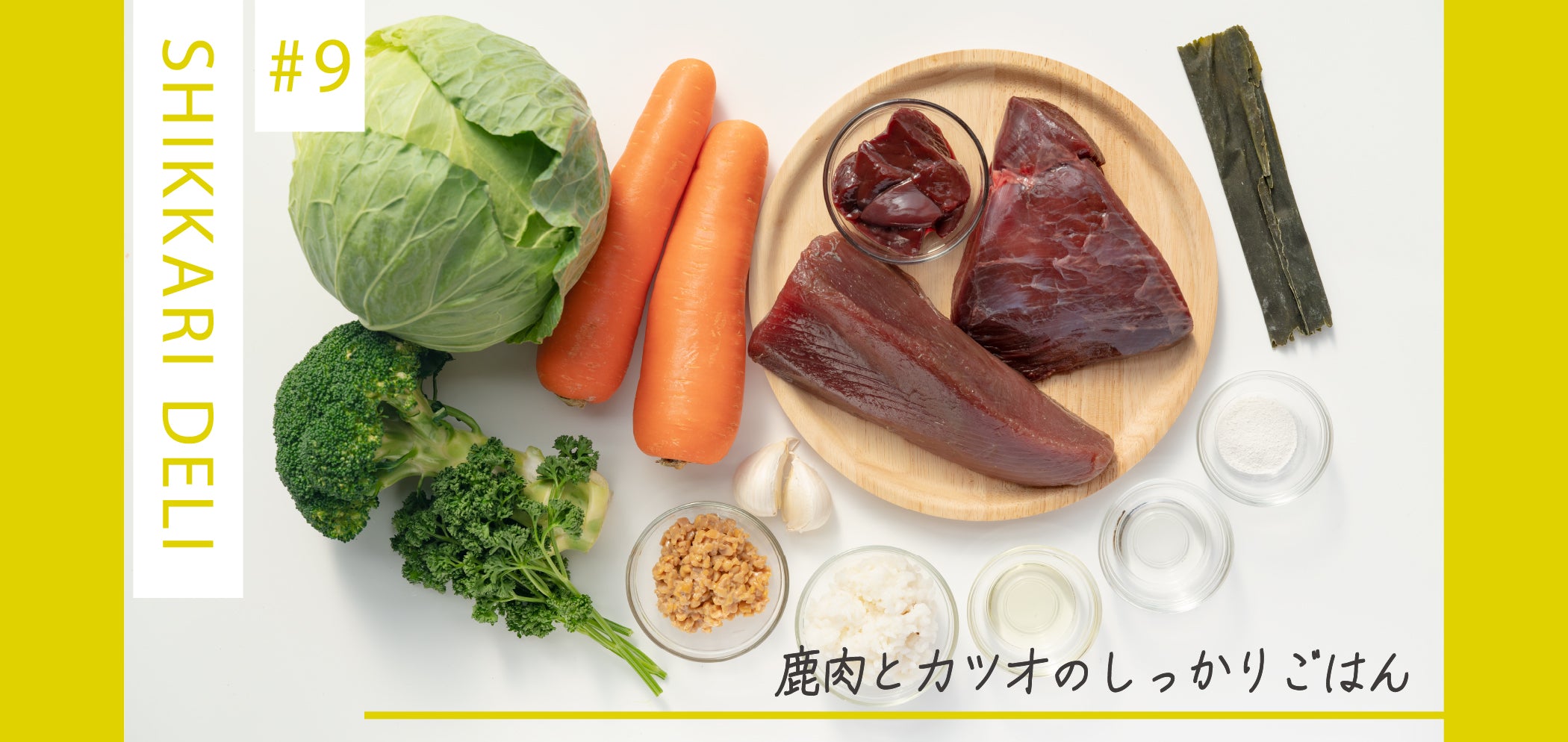 【紹介】MY-DOG DELI #9鹿肉とカツオのしっかりごはん