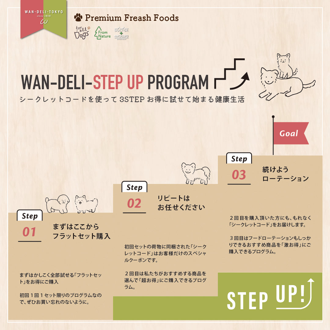 【初回限定】ワンデリステップアッププログラム (WAN-DELI STEP UP PROGRAM)送料無料