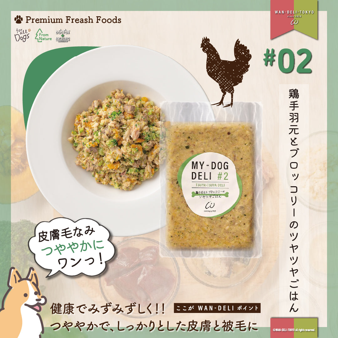 【限定50食！】大特価！決算セール！お客様感謝セットA（送料無料）