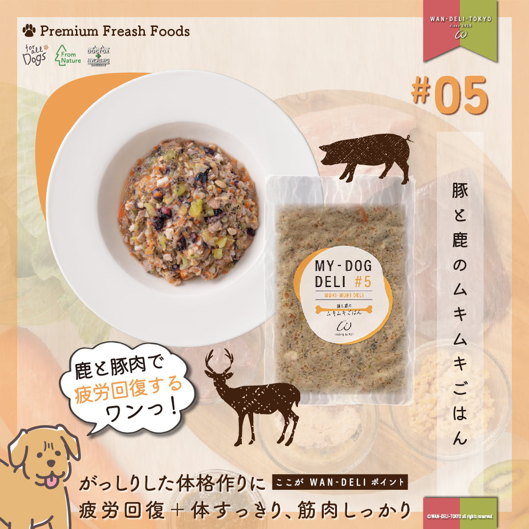 【秋期限定】愛犬ちゃんも行楽気分♪ワンワン肉祭りセットB（送料無料）
