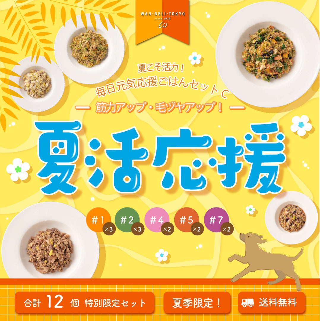 【特別限定】夏こそ活力！毎日元気応援ごはんセットC（送料無料）