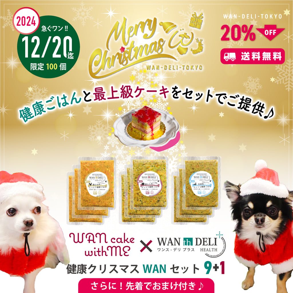 【冬季限定】予約お承り中！健康クリスマスWANセット9+1（送料無料）