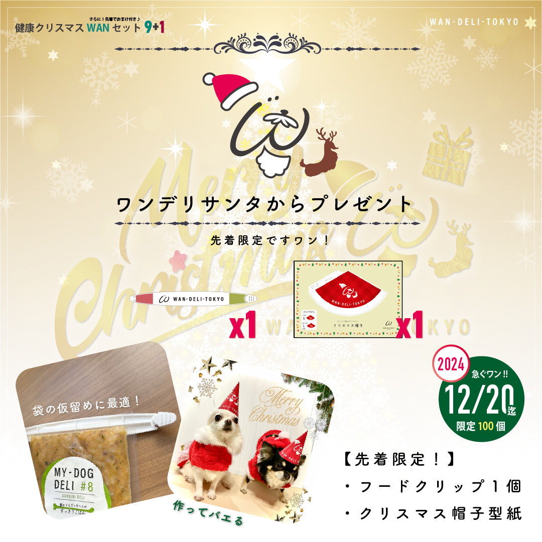 【冬季限定】予約お承り中！健康クリスマスWANセット9+1（送料無料）