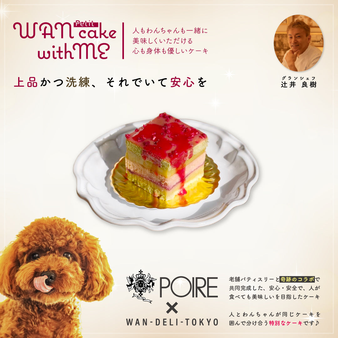 【期間限定】ワン=ウィズミー=ケーキ=プチ（WAN-With Me Cake Petit）食べきりサイズ♪