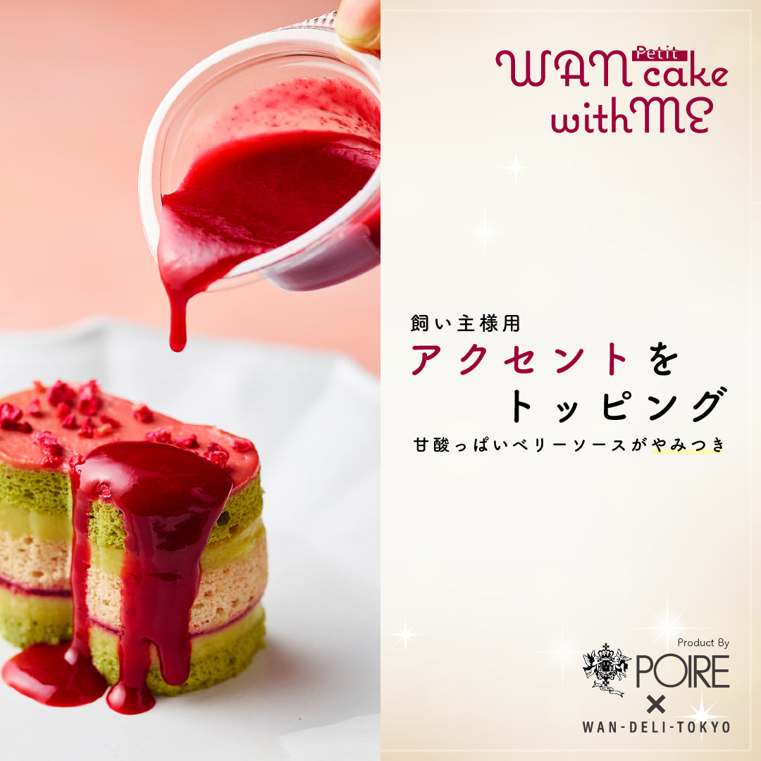 【期間限定】ワン=ウィズミー=ケーキ=プチ（WAN-With Me Cake Petit）食べきりサイズ♪