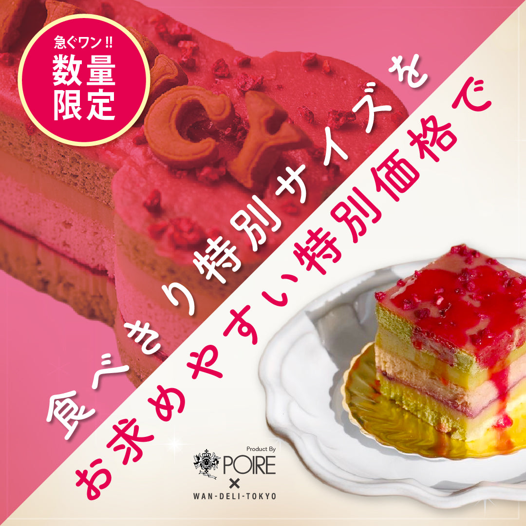 【期間限定】ワン=ウィズミー=ケーキ=プチ（WAN-With Me Cake Petit）食べきりサイズ♪