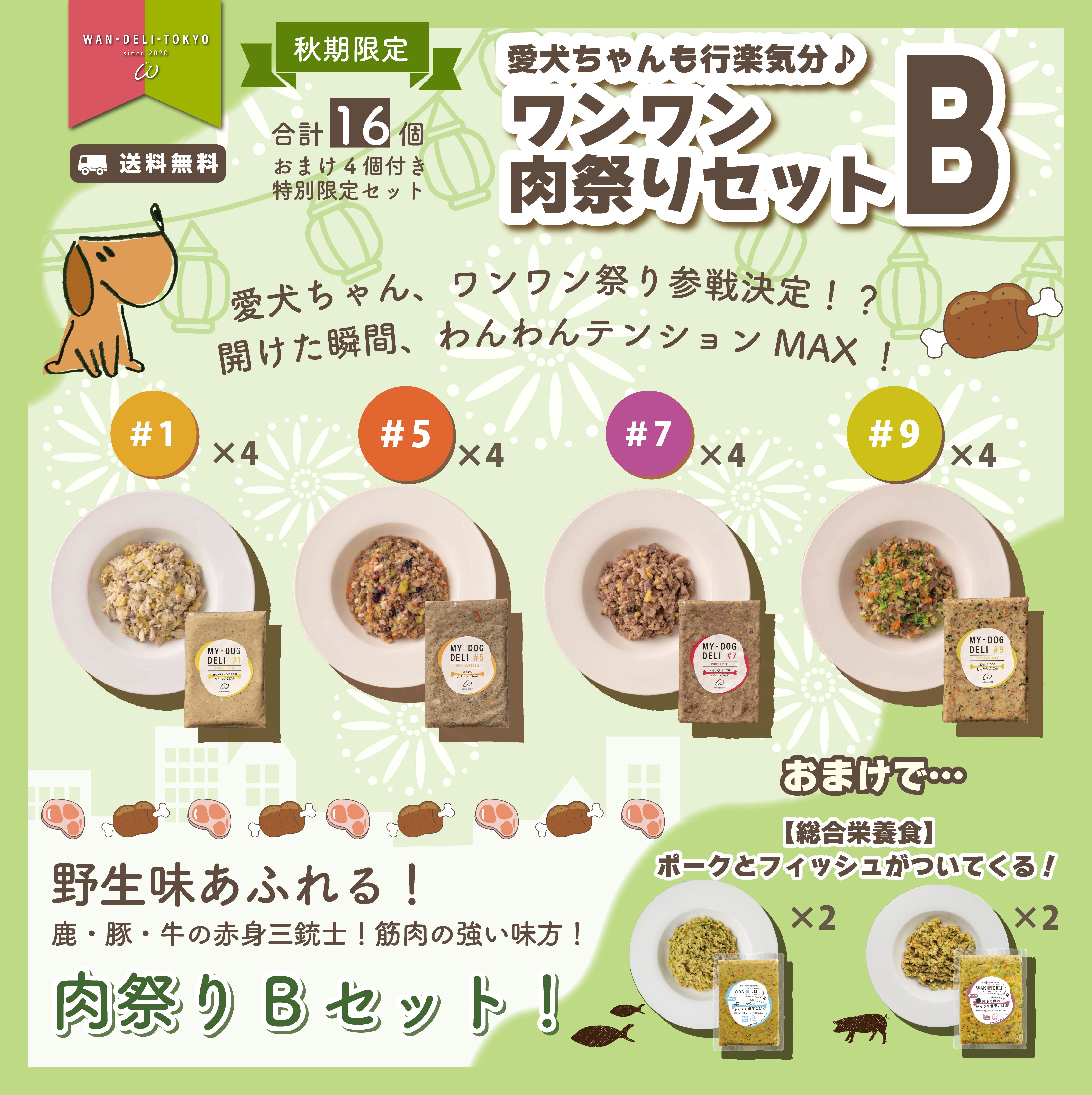 【秋期限定】愛犬ちゃんも行楽気分♪ワンワン肉祭りセットB（送料無料）