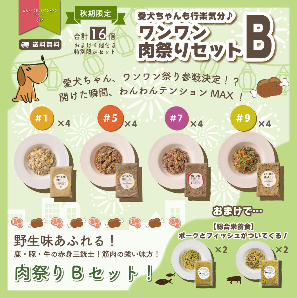 【秋期限定】愛犬ちゃんも行楽気分♪ワンワン肉祭りセットB（送料無料）