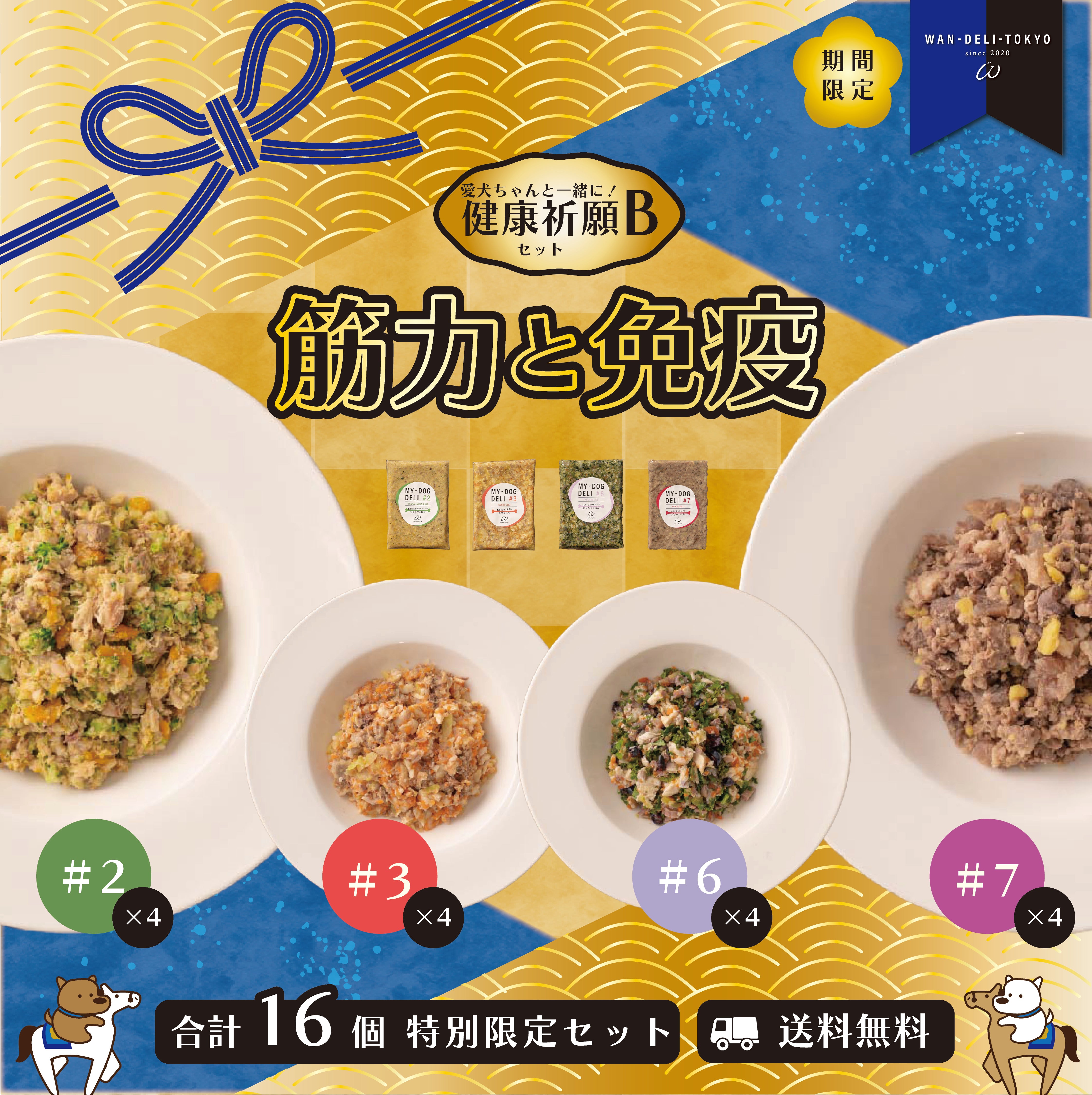 【新春2026】愛犬ちゃんと一緒に！健康祈願セットB（送料無料）