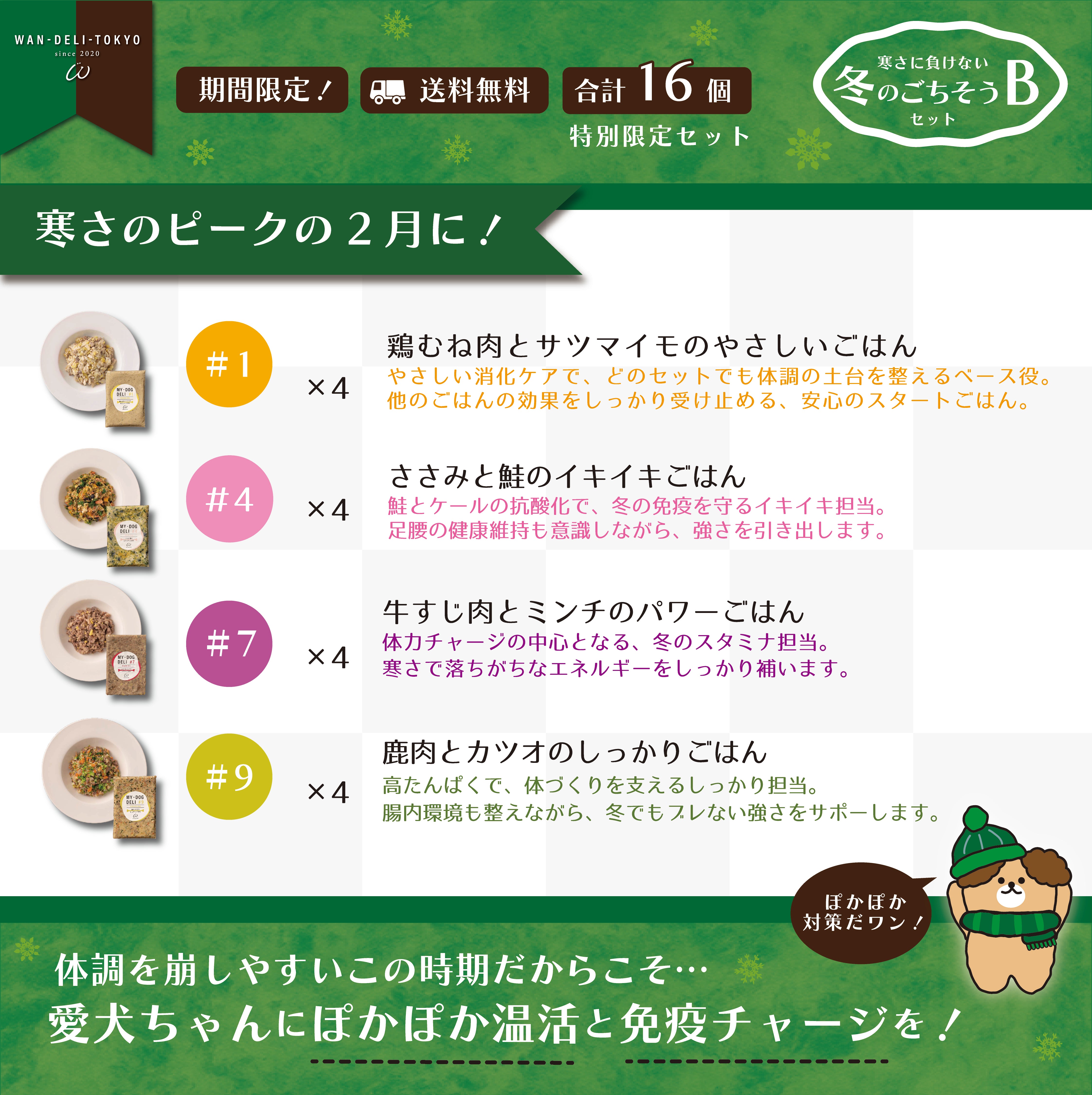 ぽかぽか免疫♪寒さに負けない冬のごちそうセットB（送料無料）