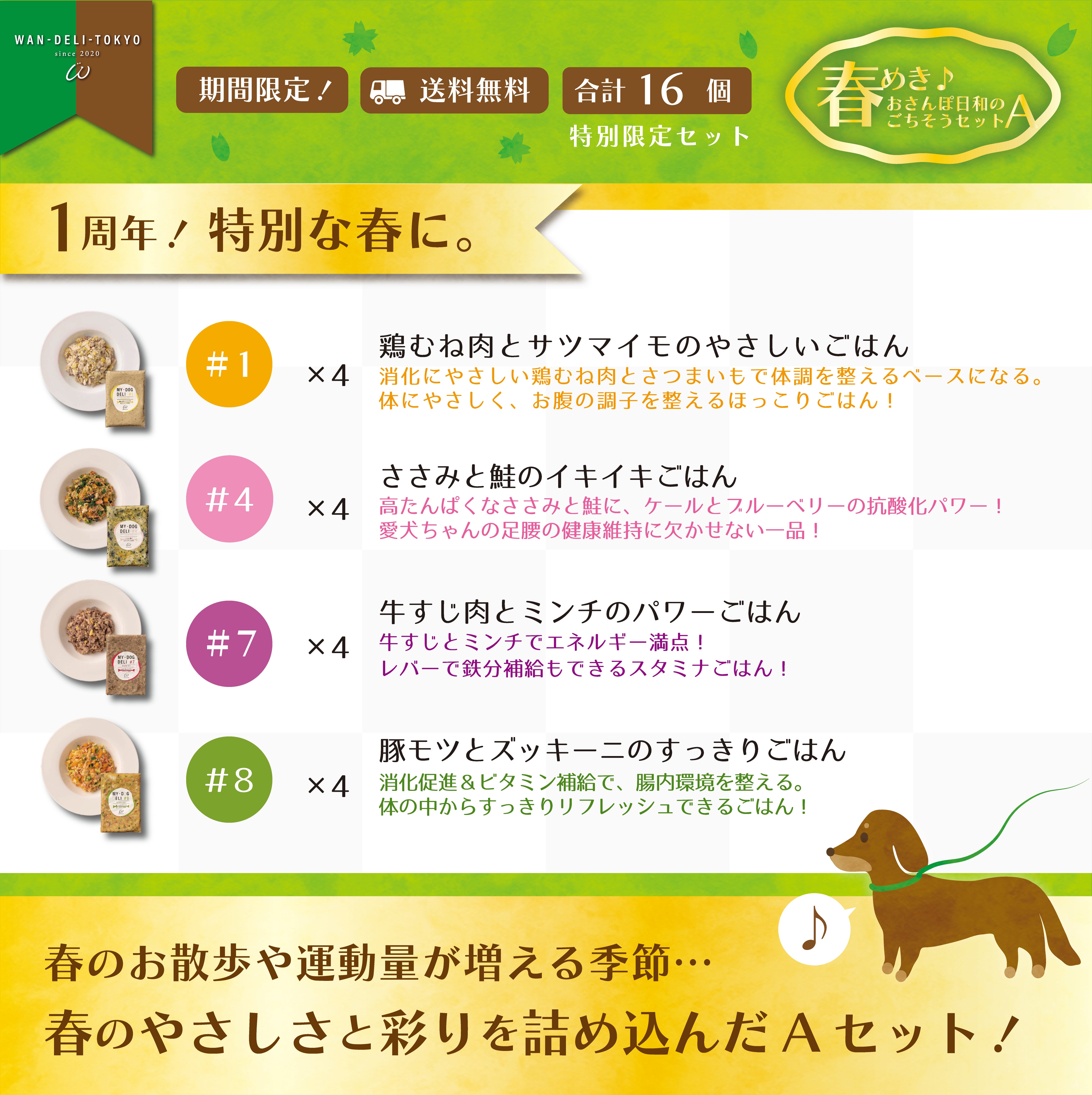 【1th Anniversary！】春めき♪おさんぽ日和のごちそうセットA（送料無料）