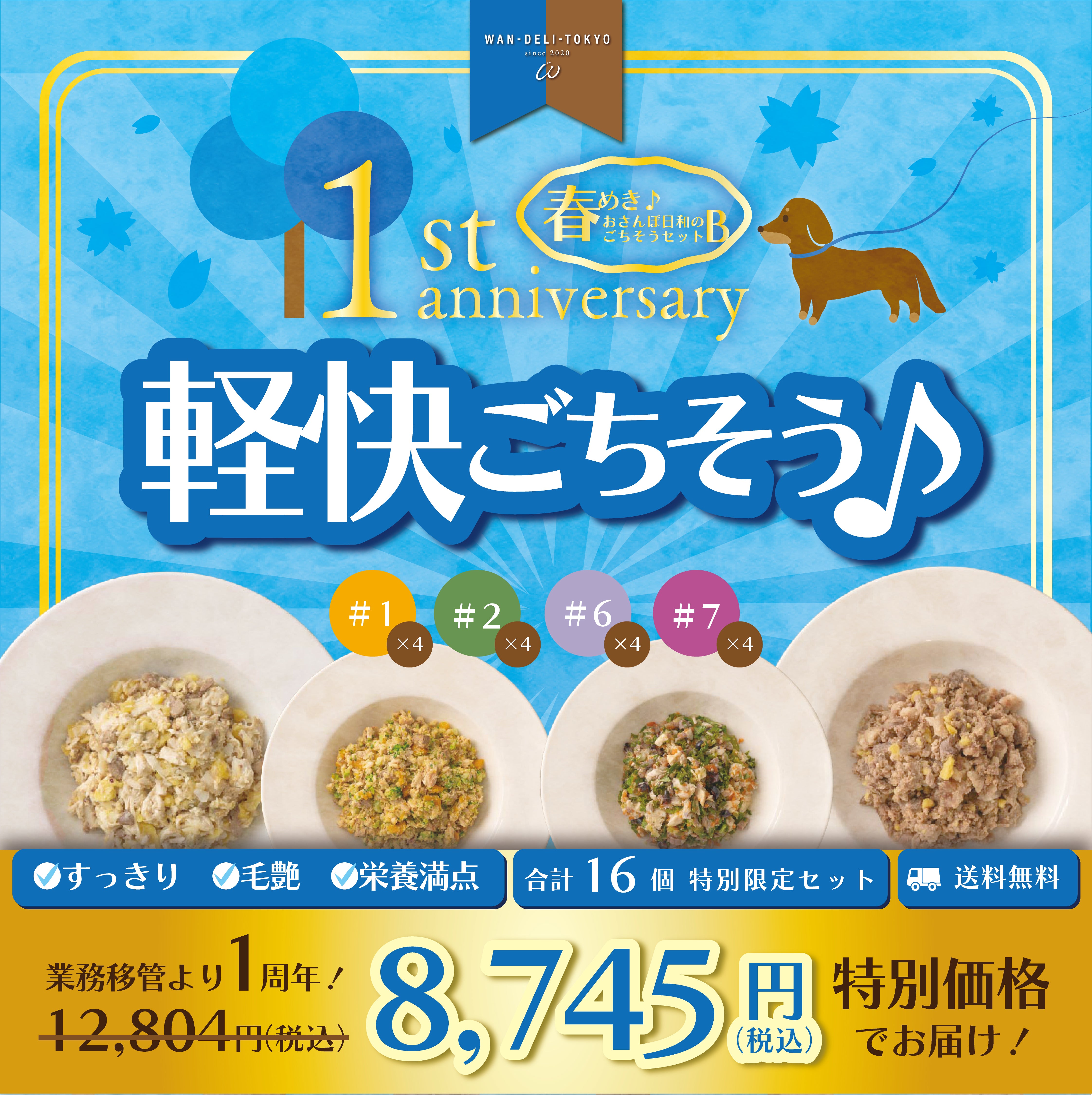 【1th Anniversary！】春めき♪おさんぽ日和のごちそうセットB（送料無料）