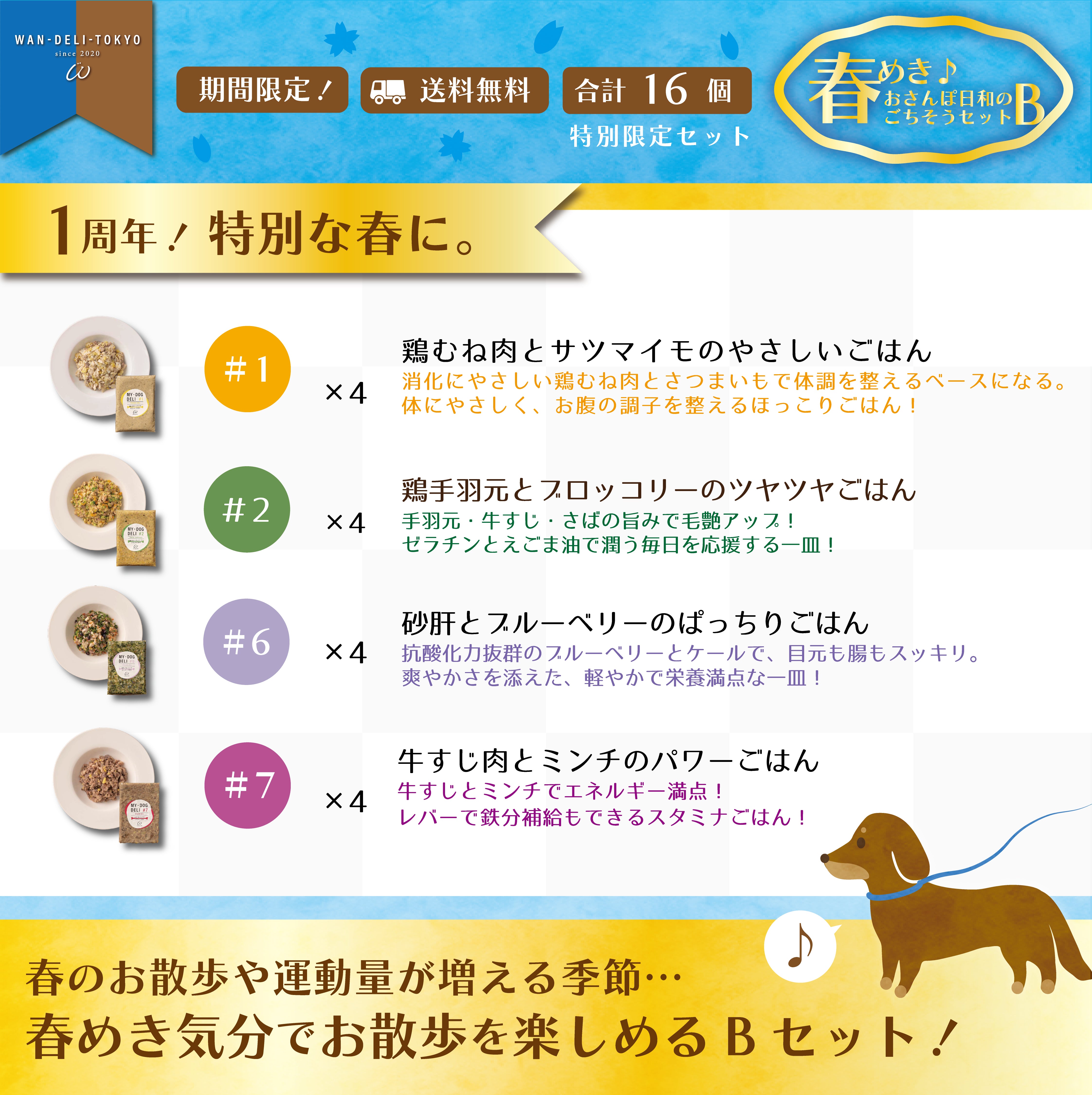 【1th Anniversary！】春めき♪おさんぽ日和のごちそうセットB（送料無料）