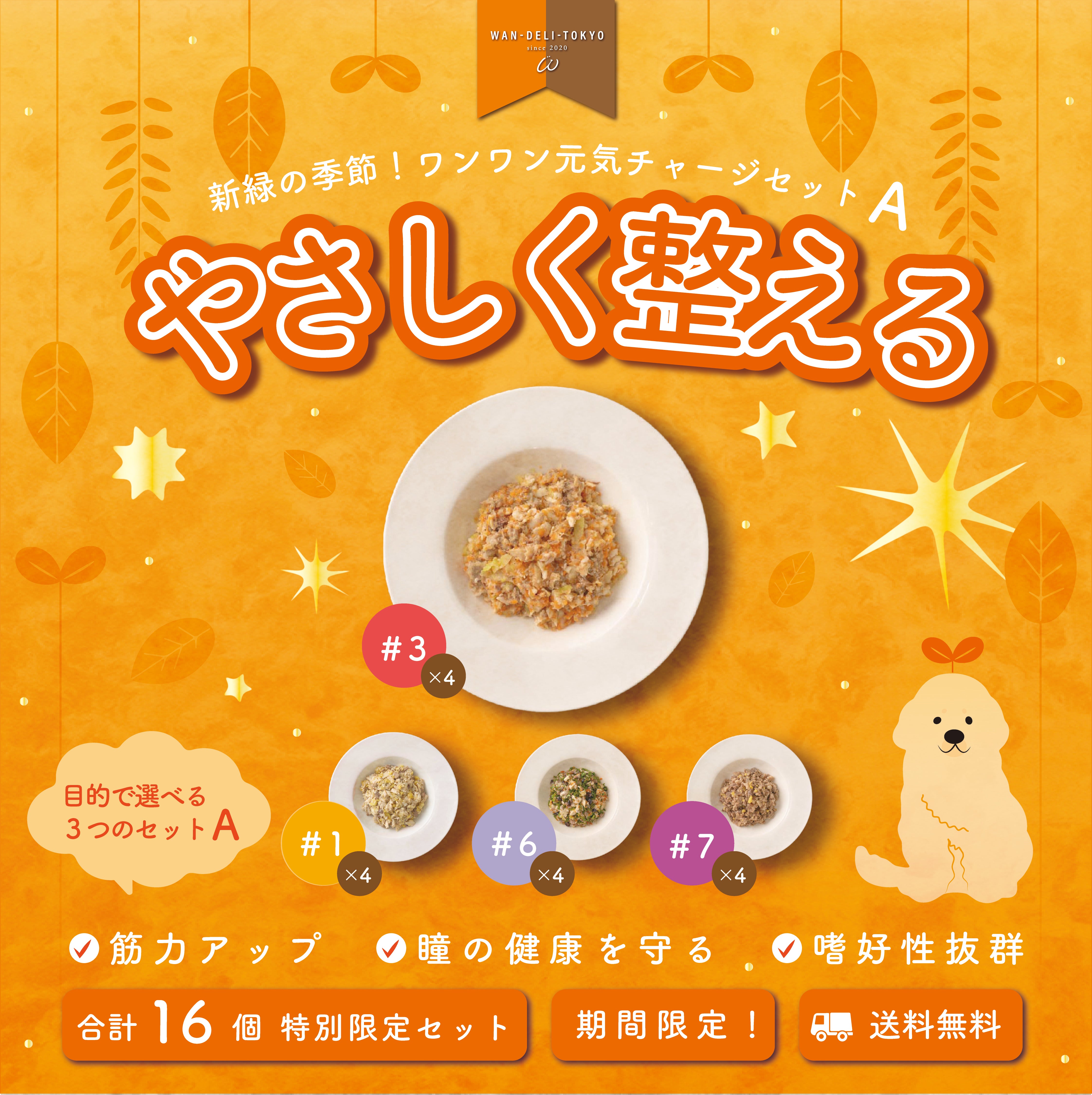 【特別限定】新緑の季節！ワンワン元気チャージセットA（送料無料）