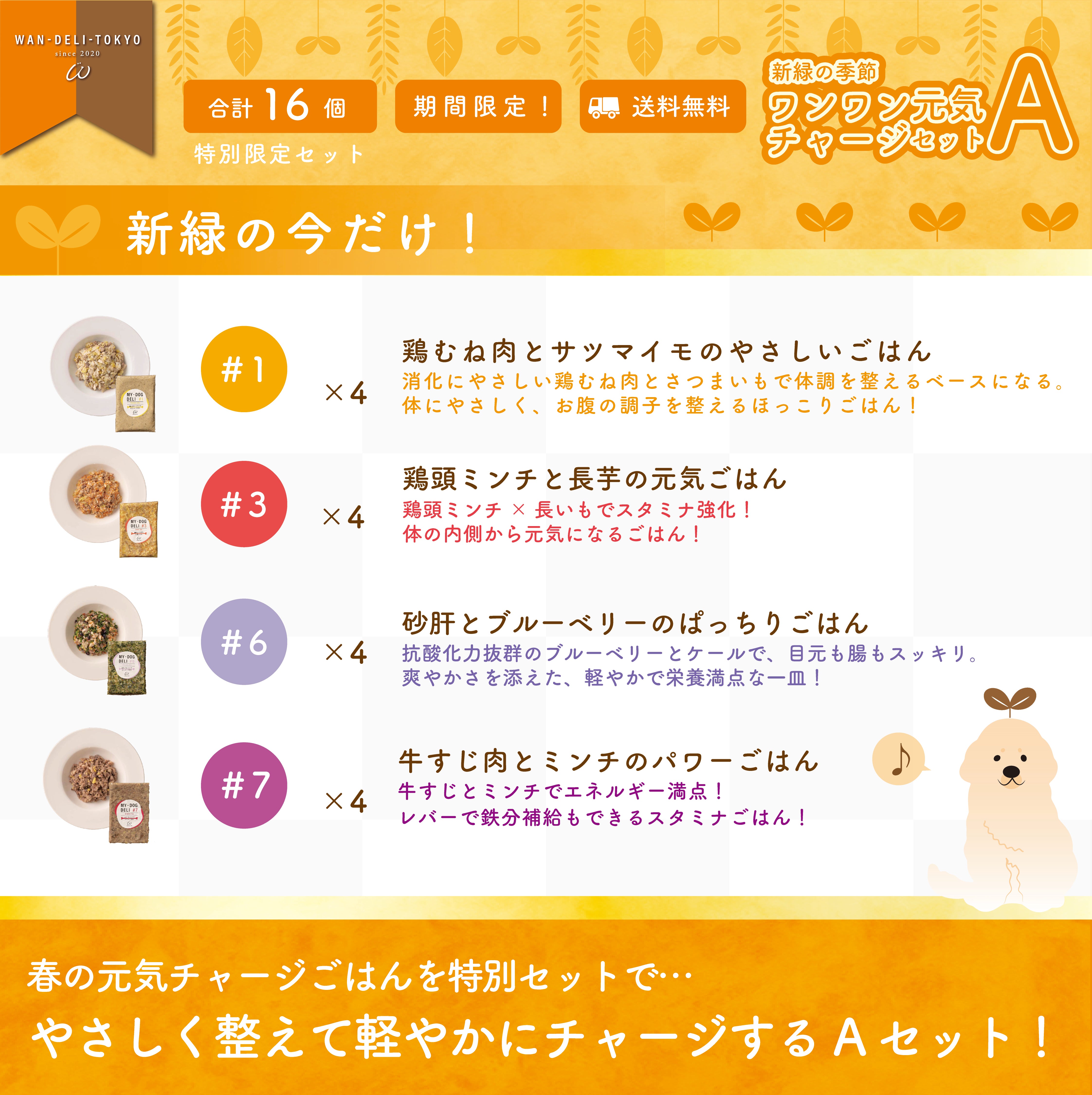 【特別限定】新緑の季節！ワンワン元気チャージセットA（送料無料）