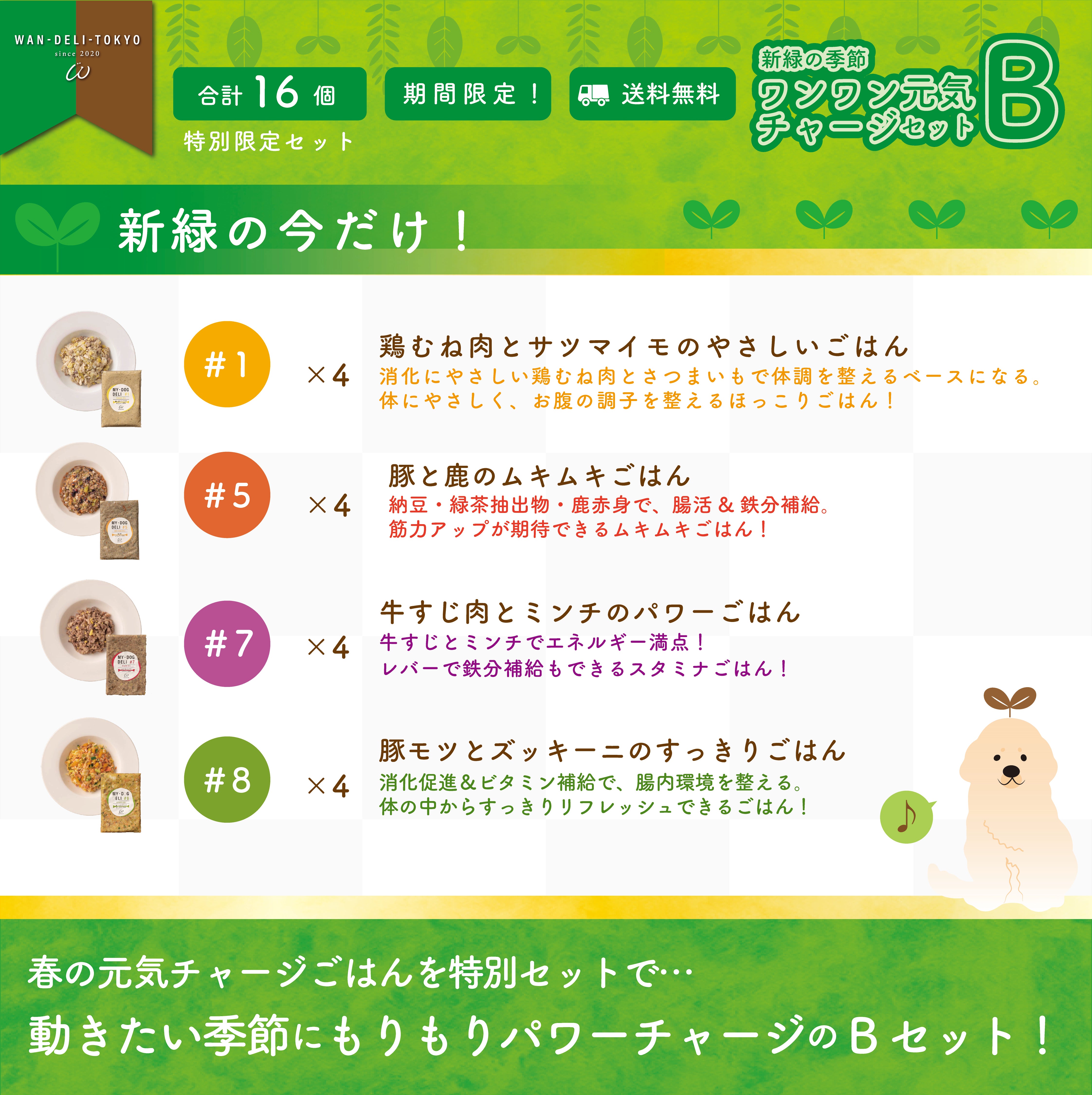 【特別限定】新緑の季節！ワンワン元気チャージセットB（送料無料）