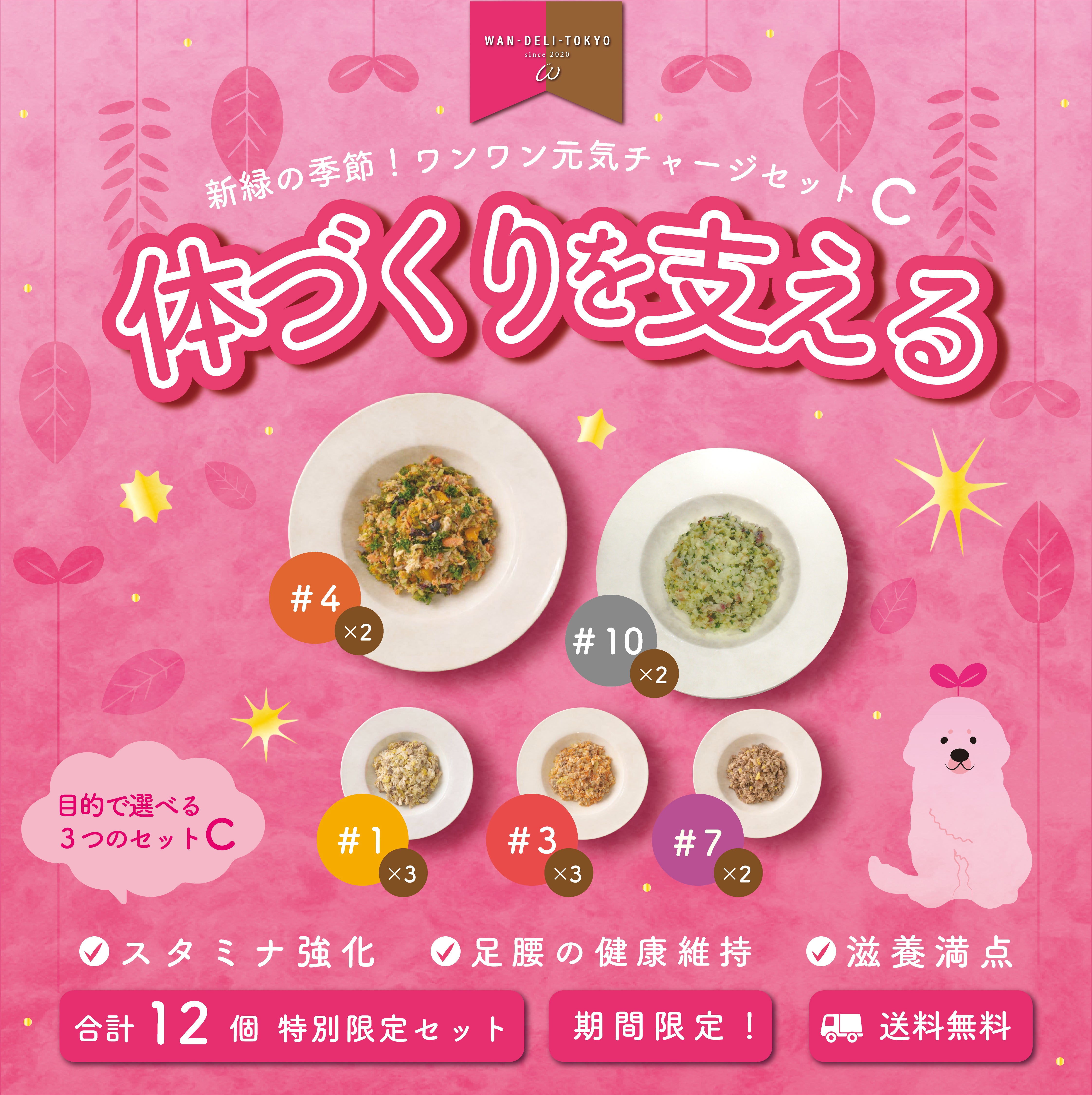 【特別限定】新緑の季節！ワンワン元気チャージセットC（送料無料）