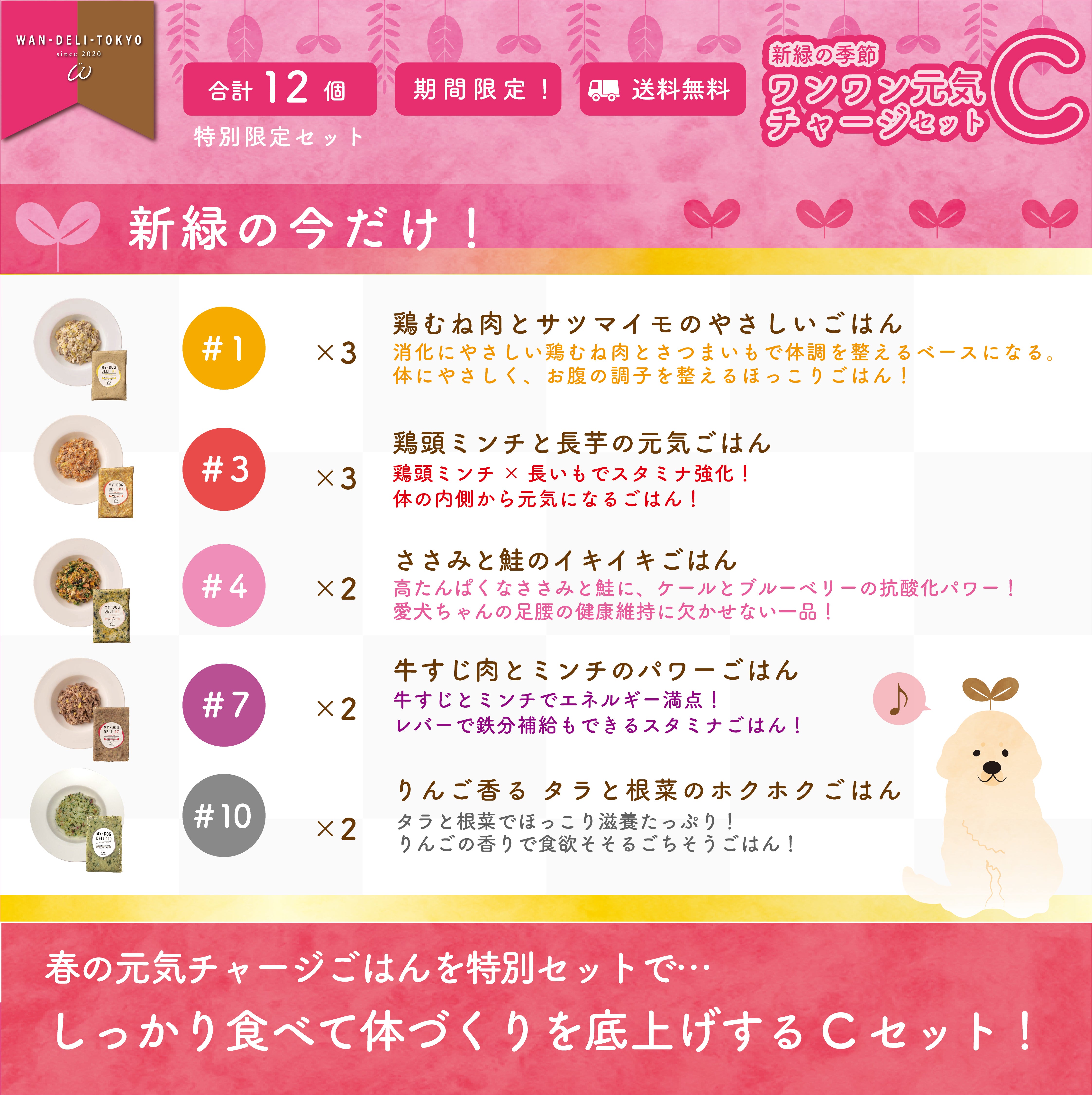 【特別限定】新緑の季節！ワンワン元気チャージセットC（送料無料）