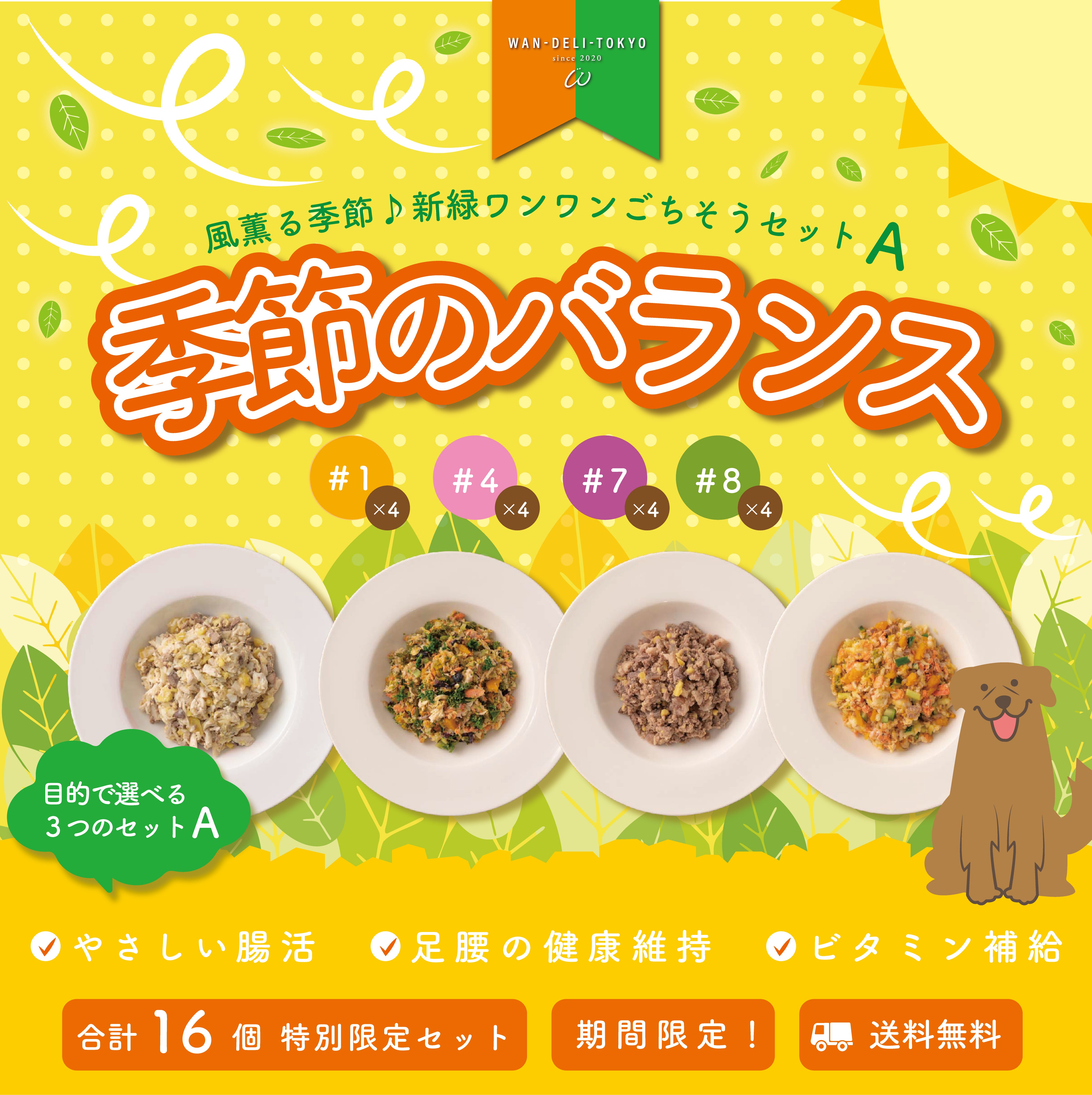 【特別限定】風薫る季節♪新緑ワンワンごちそうセットA（送料無料）