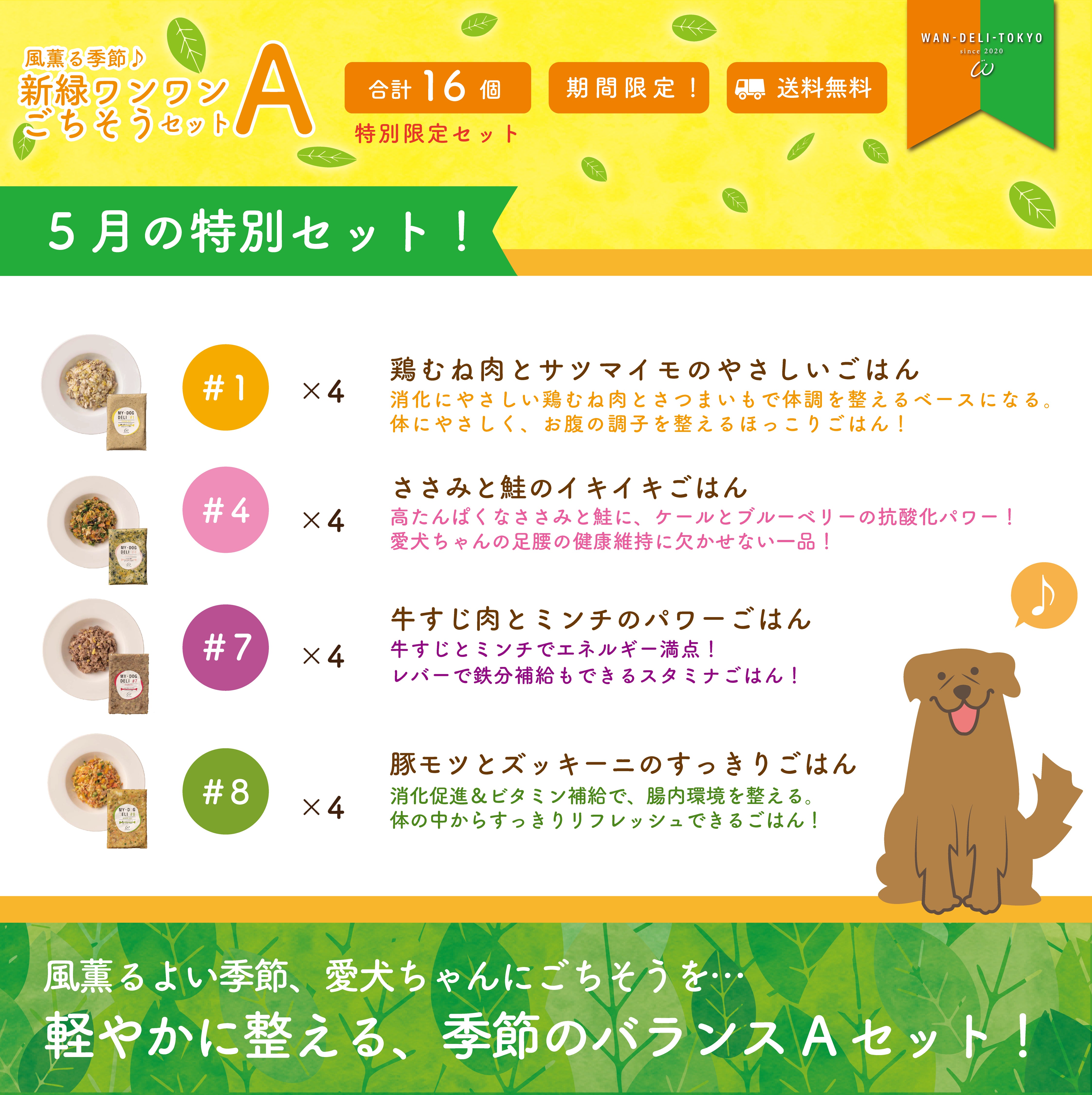 【特別限定】風薫る季節♪新緑ワンワンごちそうセットA（送料無料）