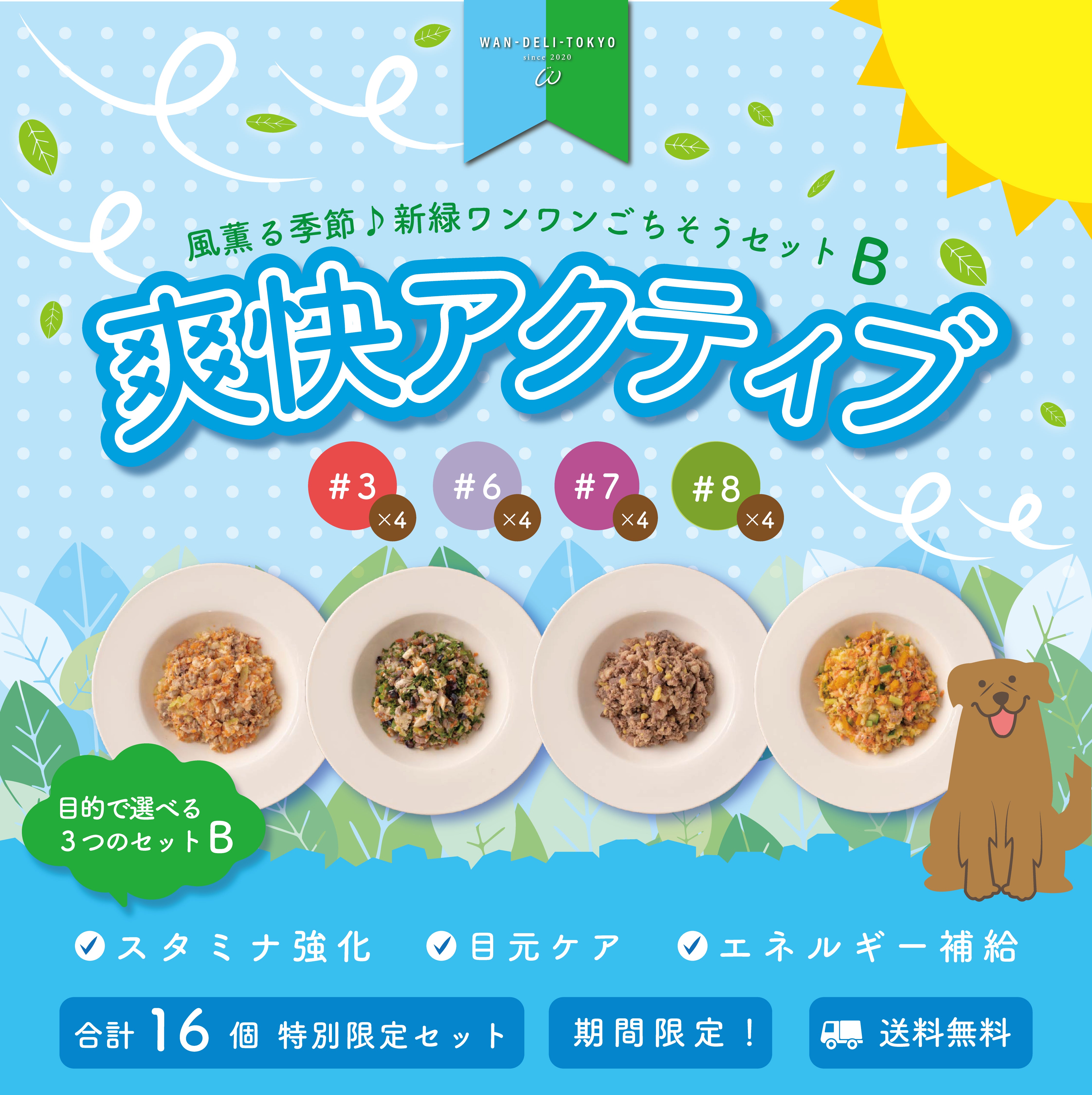 【特別限定】風薫る季節♪新緑ワンワンごちそうセットB（送料無料）