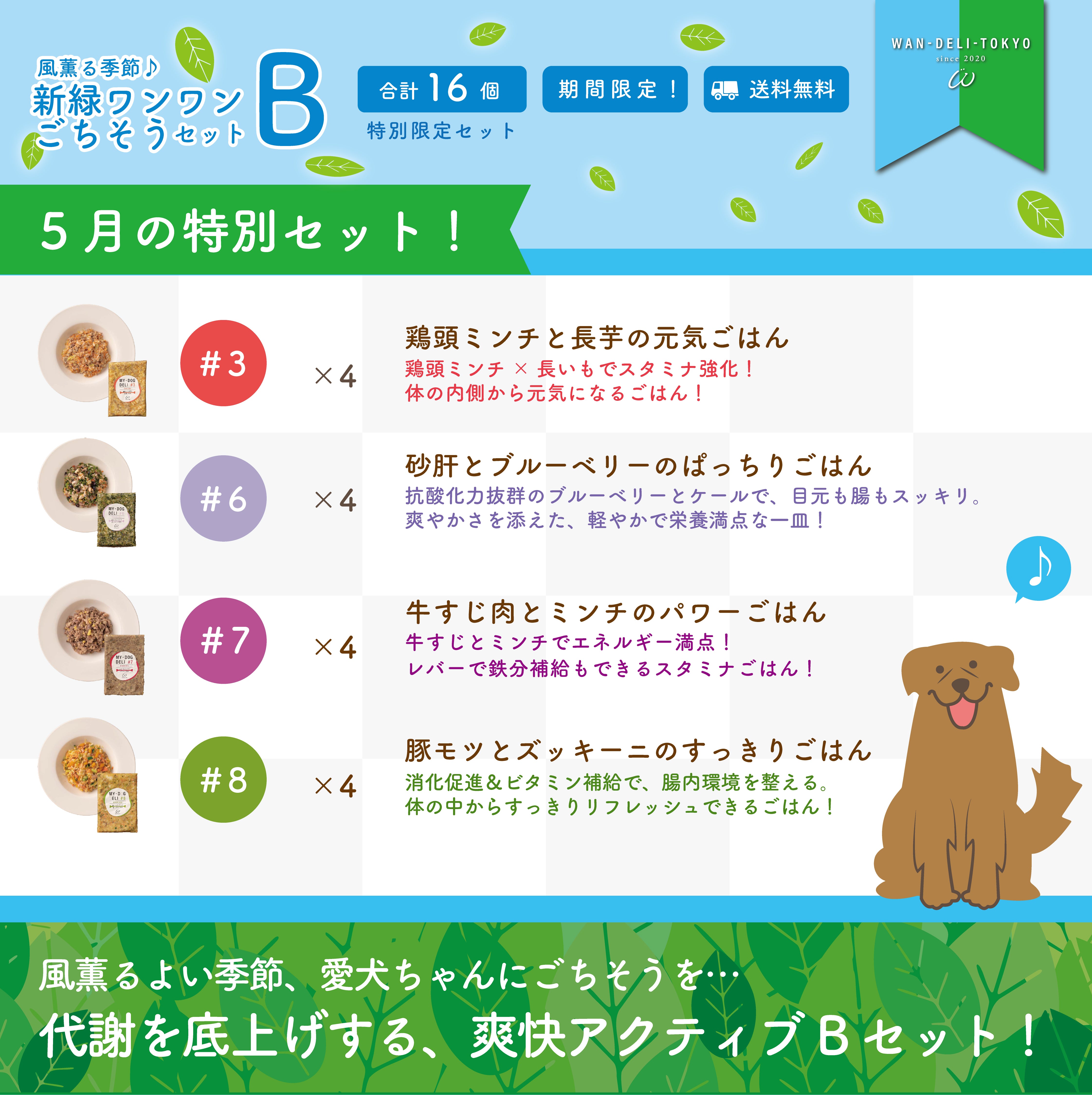 【特別限定】風薫る季節♪新緑ワンワンごちそうセットB（送料無料）