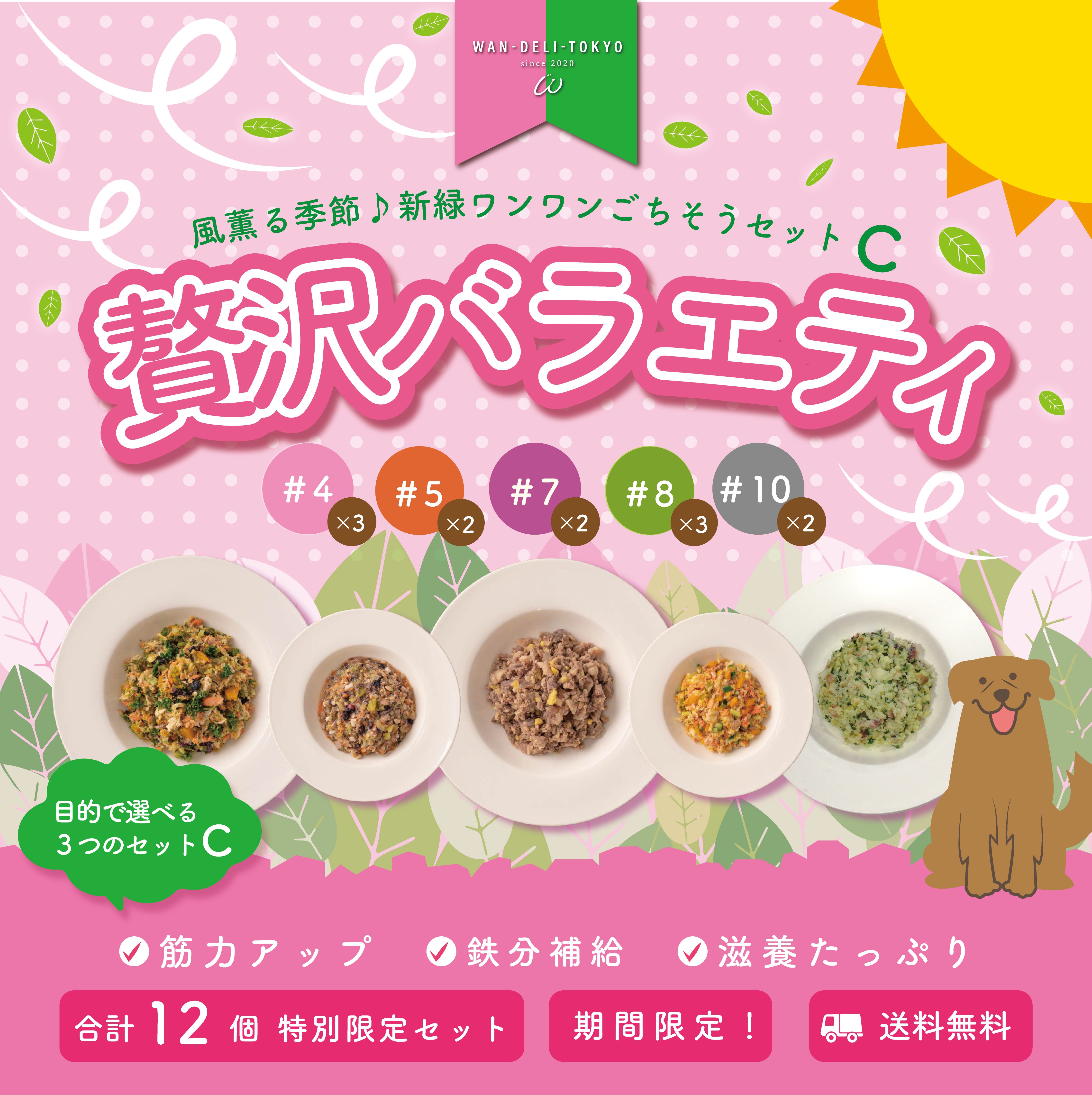 【特別限定】風薫る季節♪新緑ワンワンごちそうセットC（送料無料）