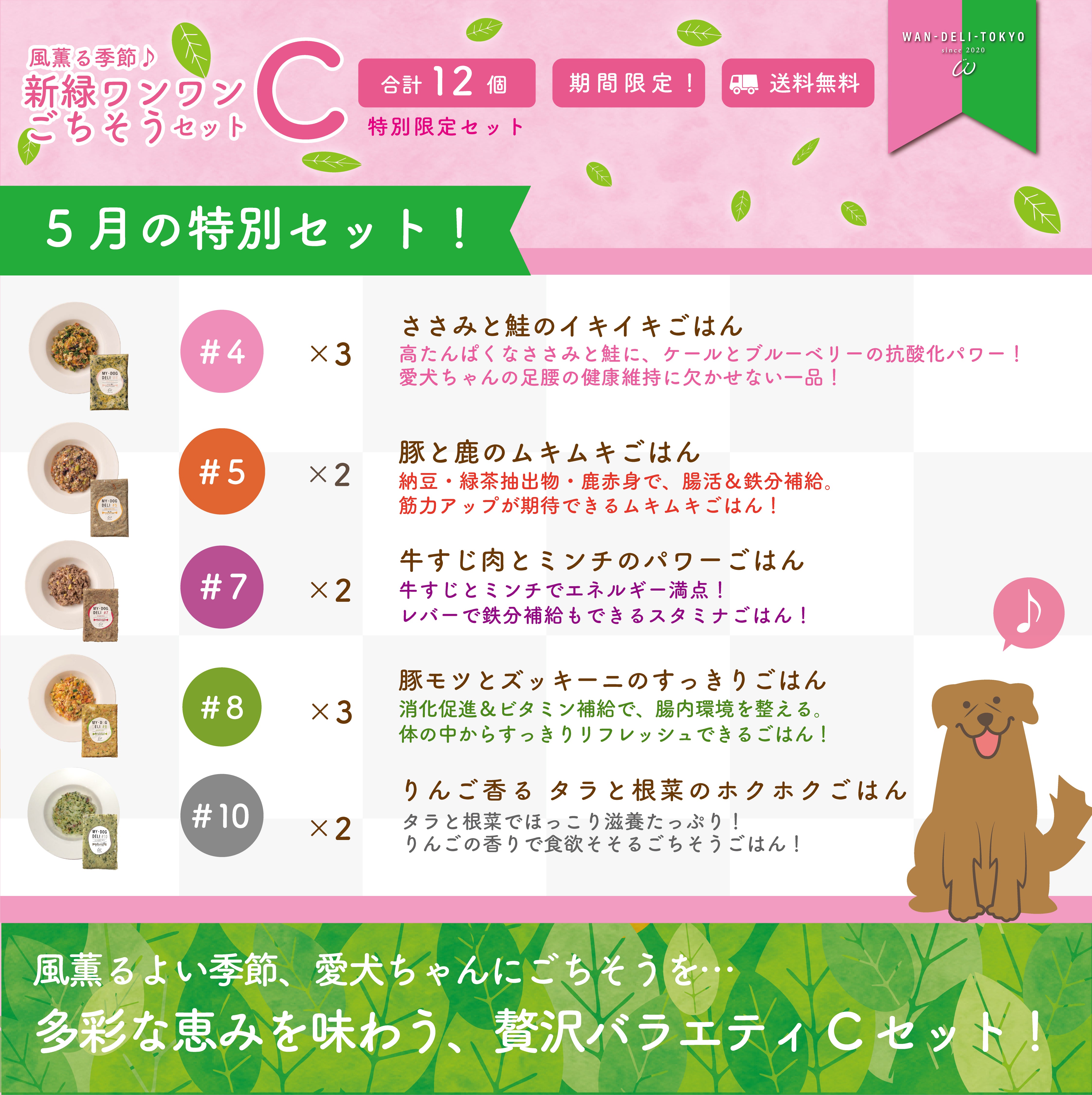 【特別限定】風薫る季節♪新緑ワンワンごちそうセットC（送料無料）