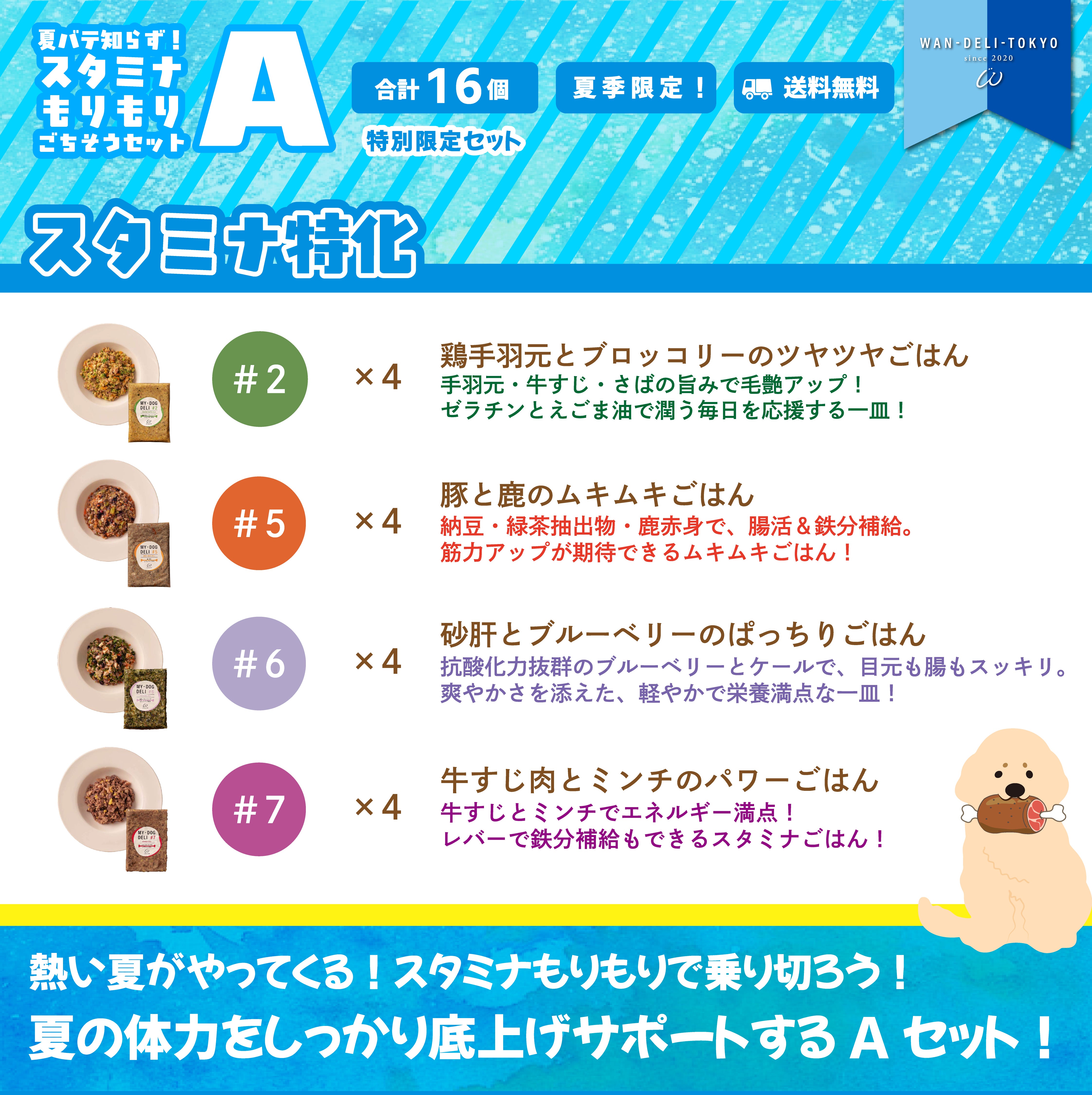 【夏期限定】夏バテ知らず！スタミナもりもりごちそうセットA（送料無料）