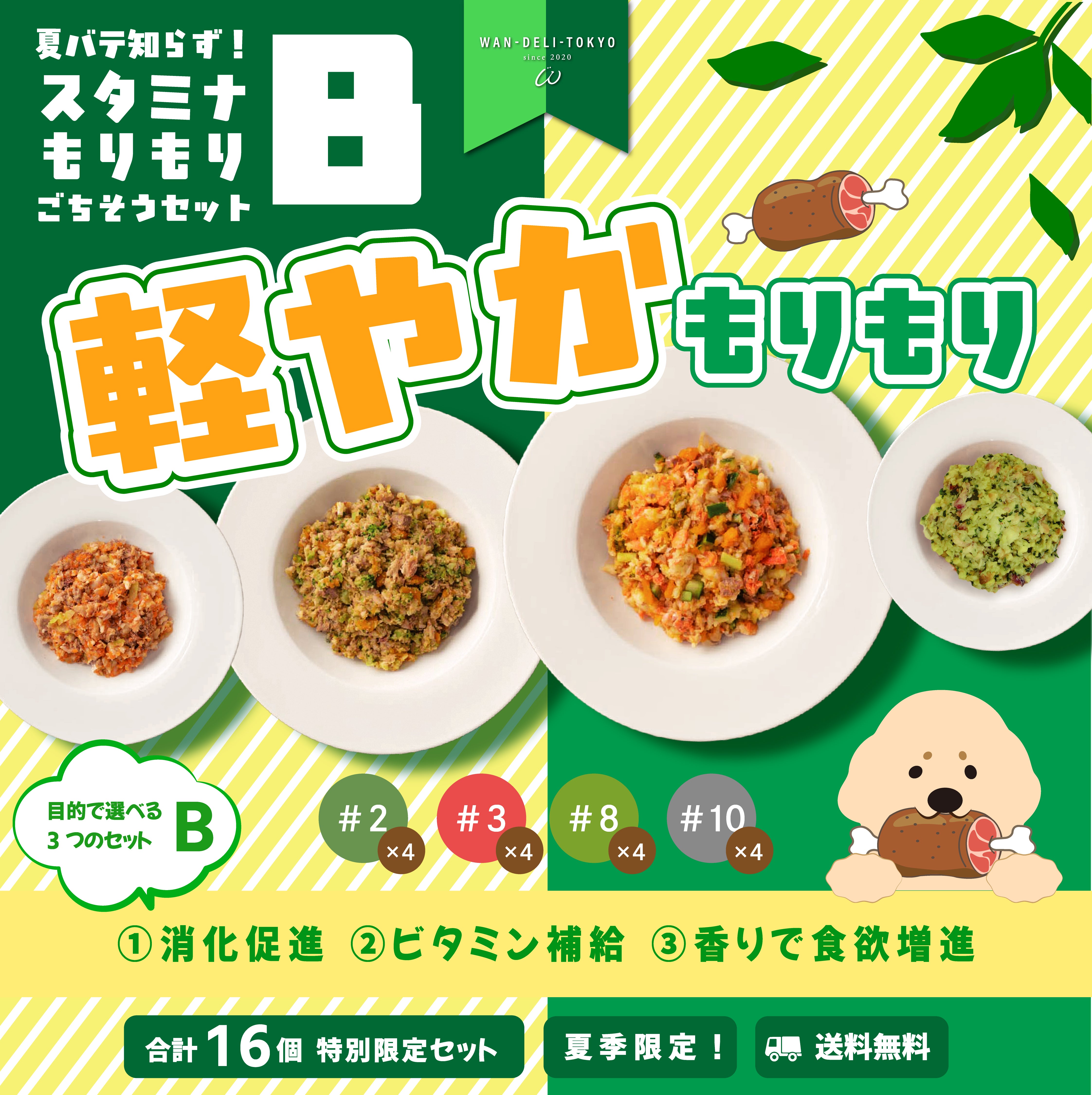 【夏期限定】夏バテ知らず！スタミナもりもりごちそうセットB（送料無料）