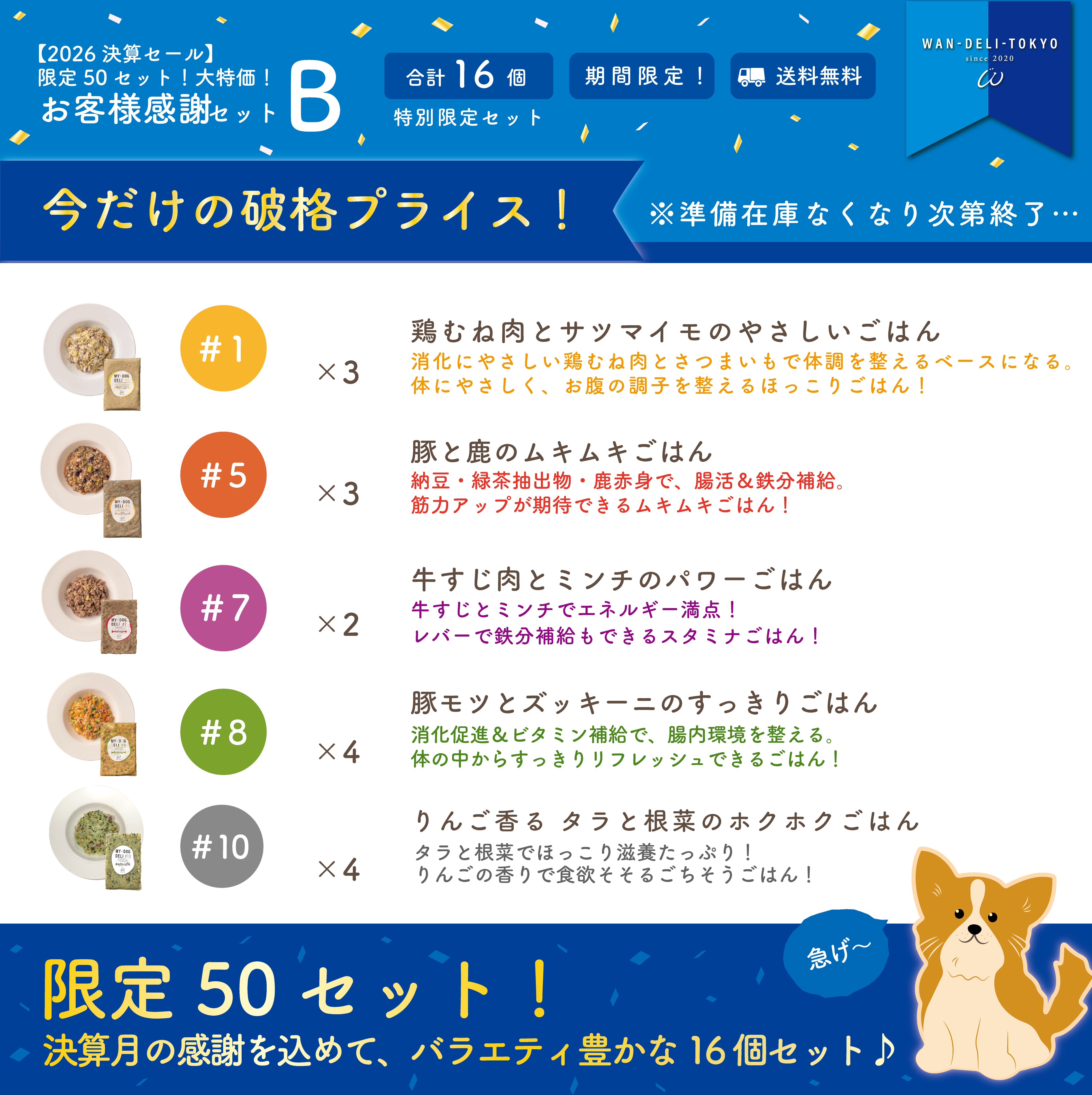 【2026決算セール】限定50セット！大特価！お客様感謝セットB（送料無料）