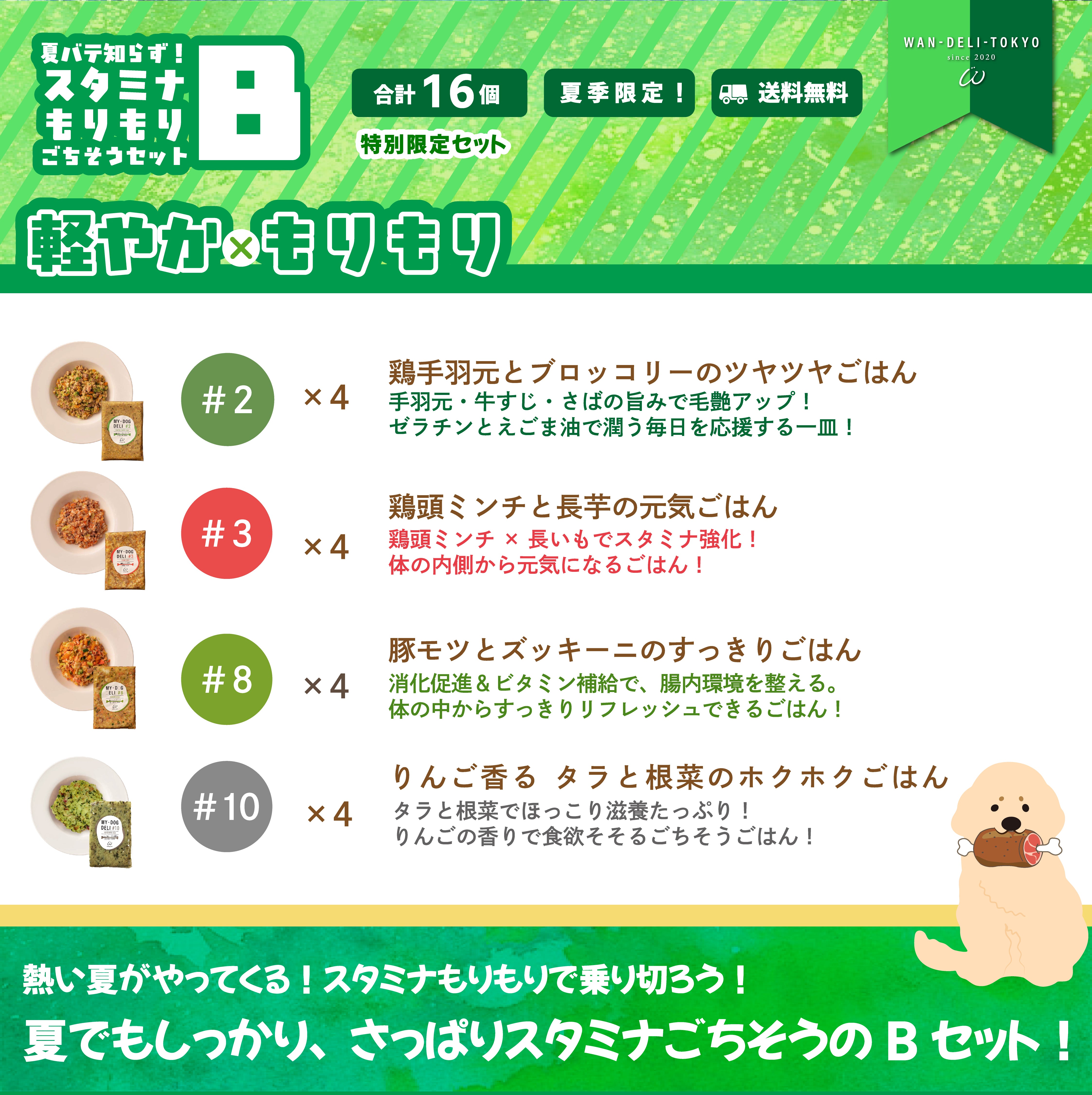 【夏期限定】夏バテ知らず！スタミナもりもりごちそうセットB（送料無料）
