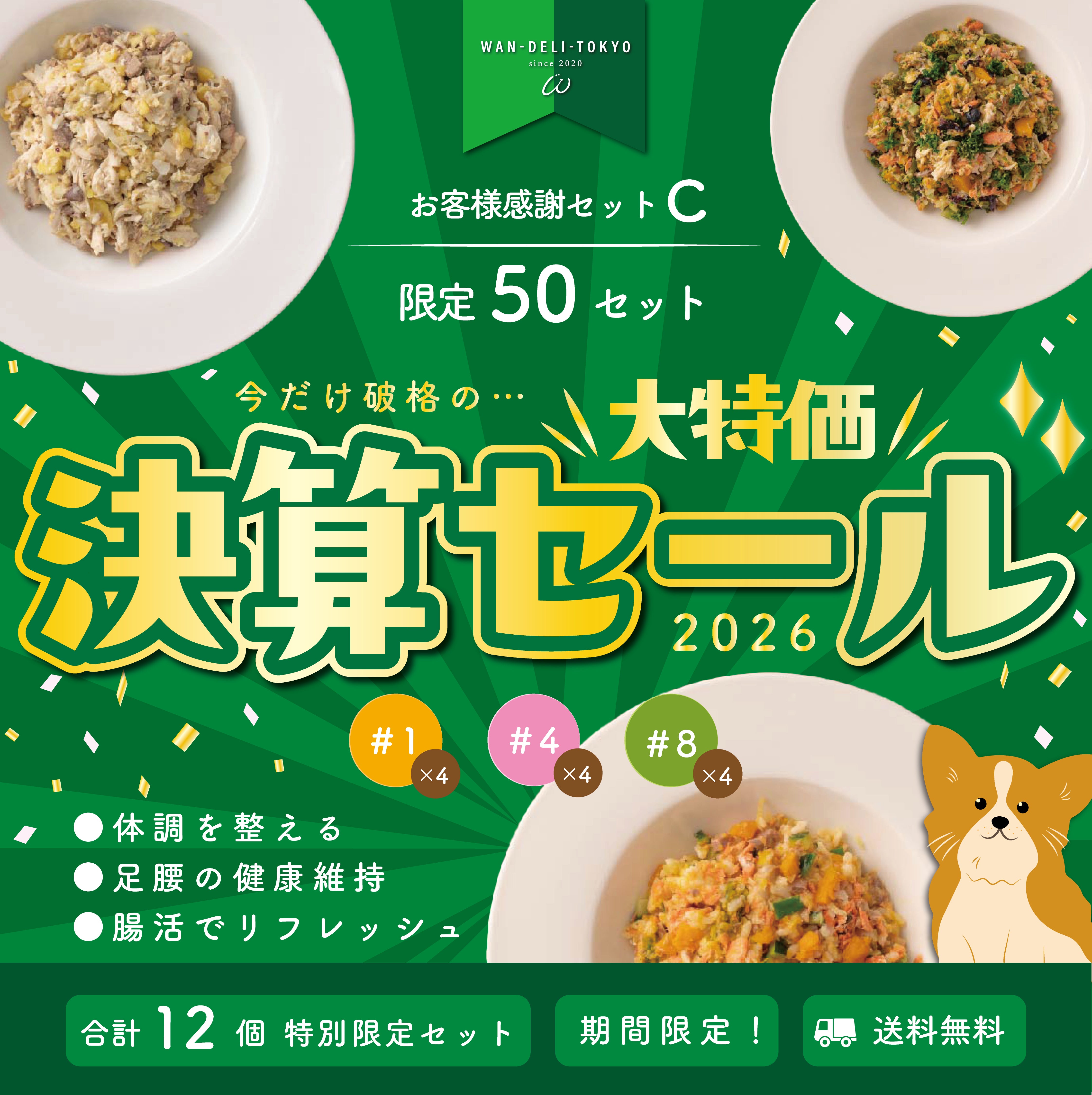 【2026決算セール】限定50セット！大特価！お客様感謝セットC（送料無料）