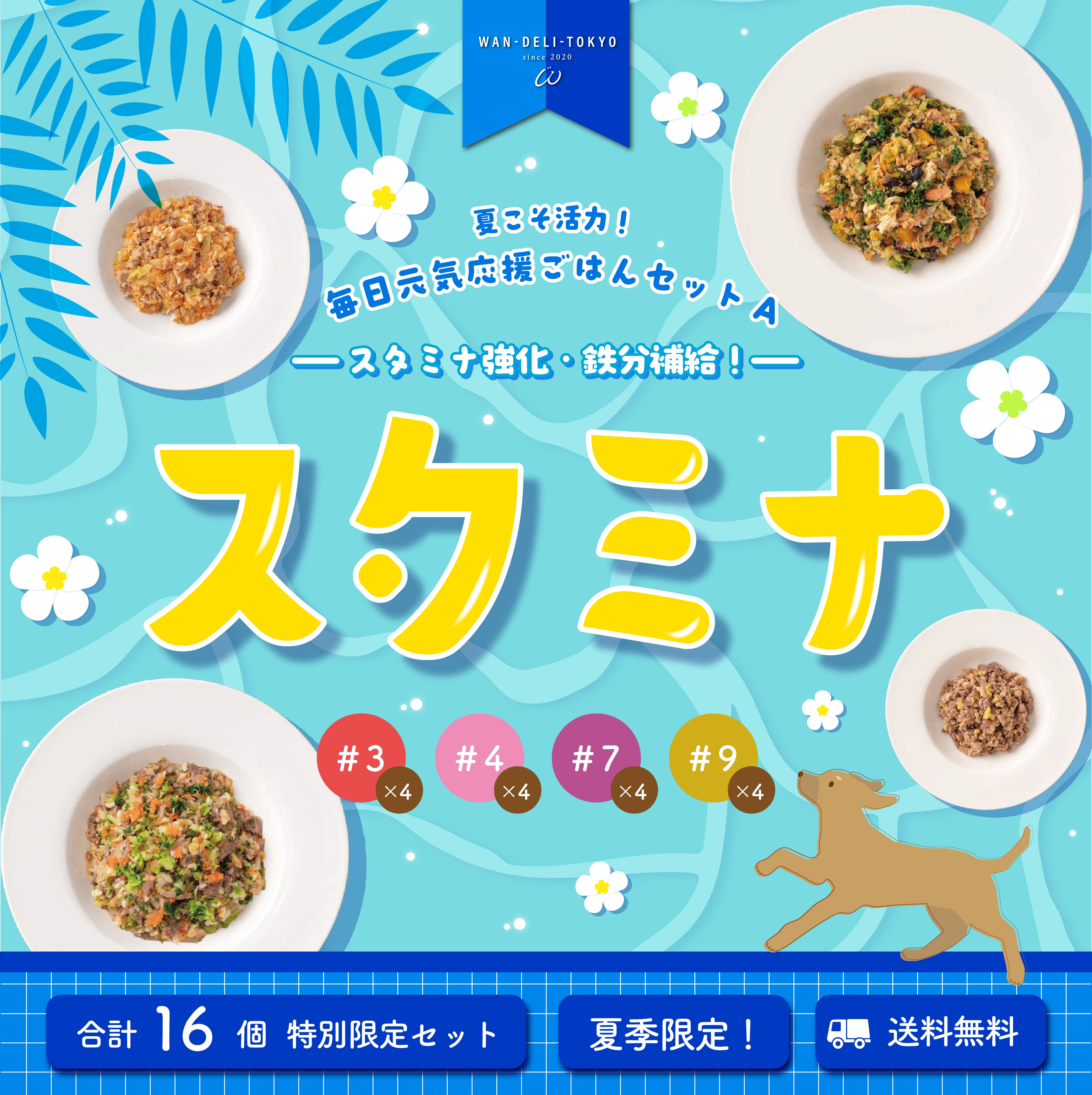 【特別限定】夏こそ活力！毎日元気応援ごはんセットA（送料無料）