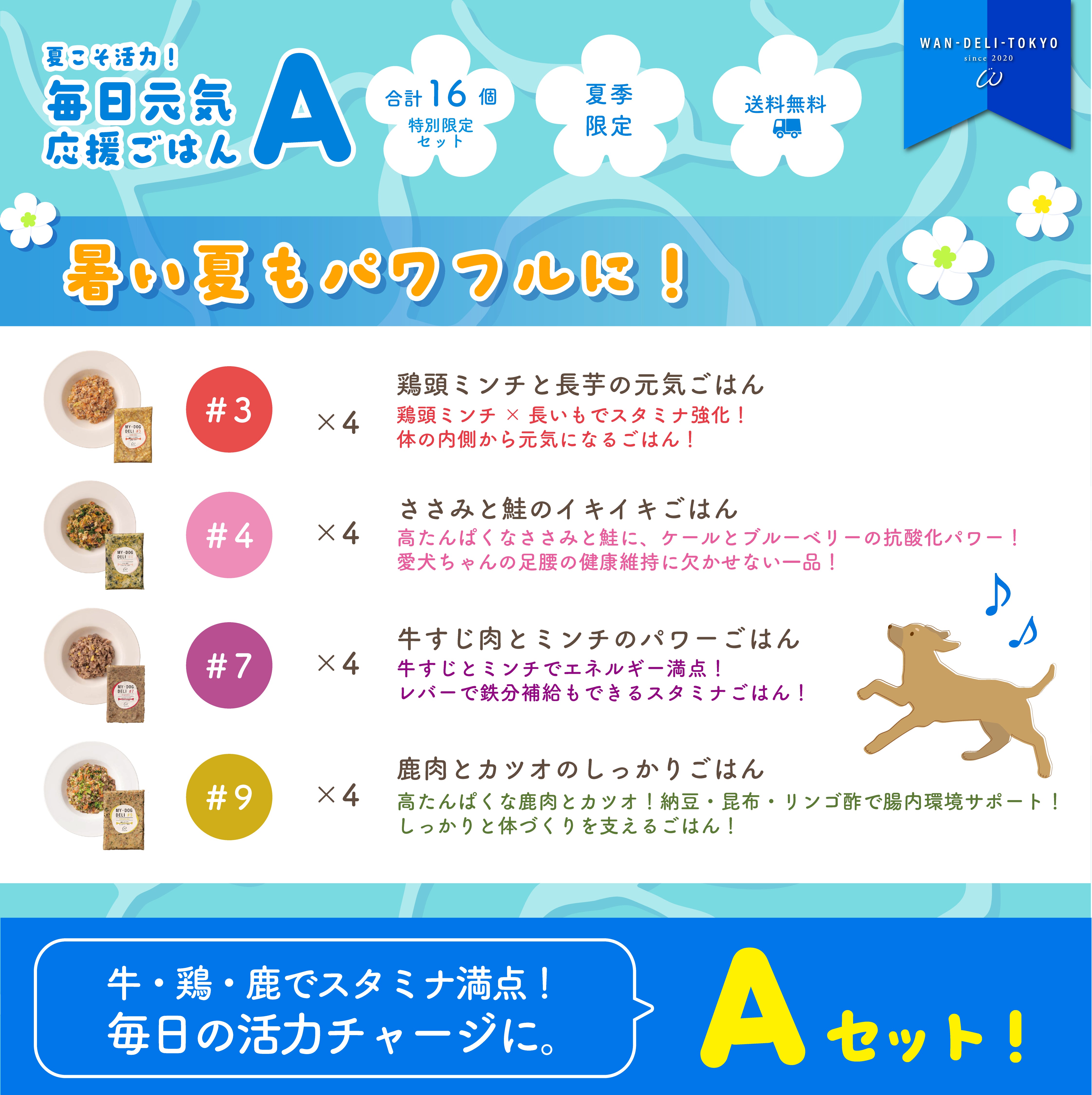 【特別限定】夏こそ活力！毎日元気応援ごはんセットA（送料無料）