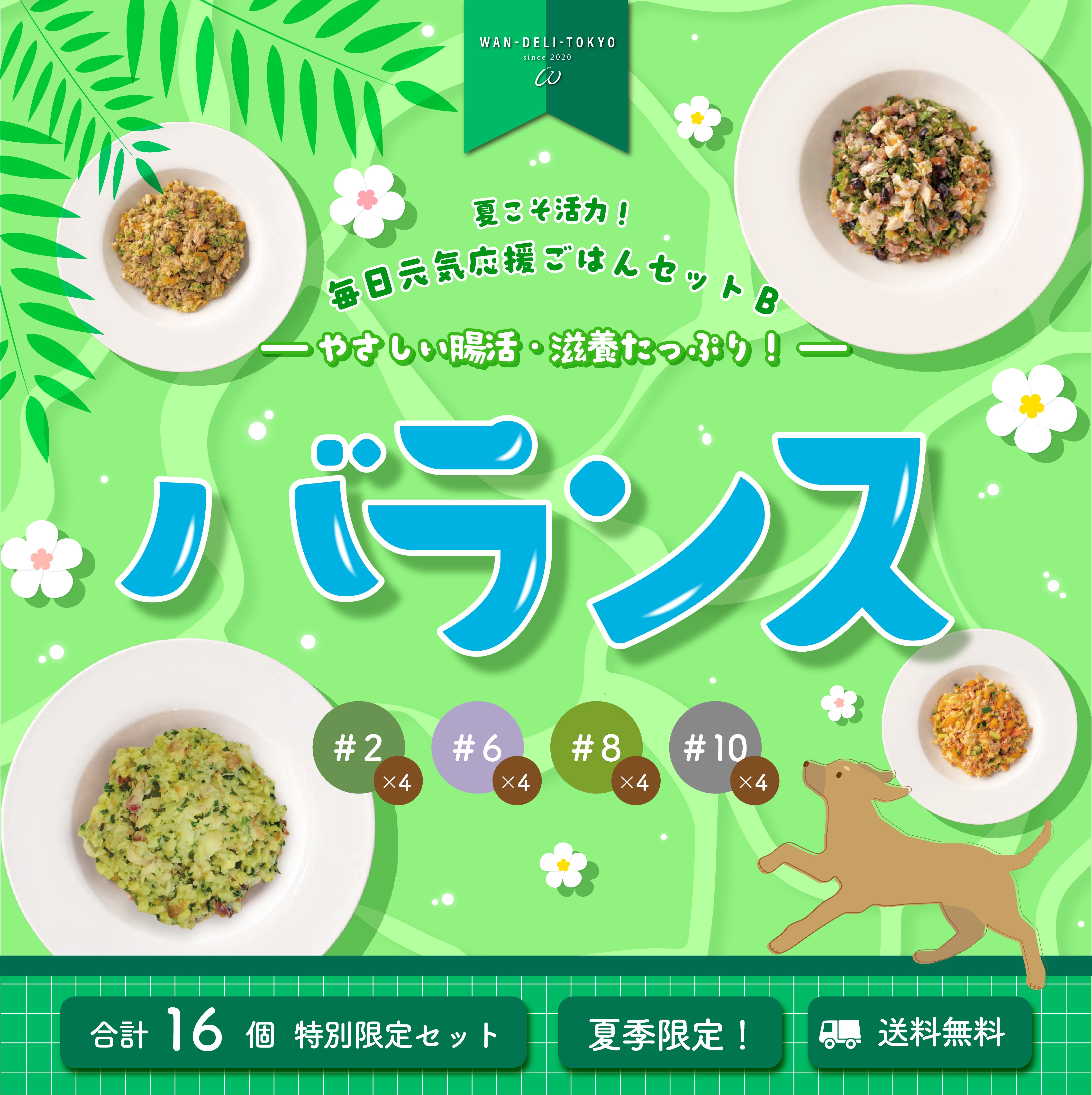 【特別限定】夏こそ活力！毎日元気応援ごはんセットB（送料無料）