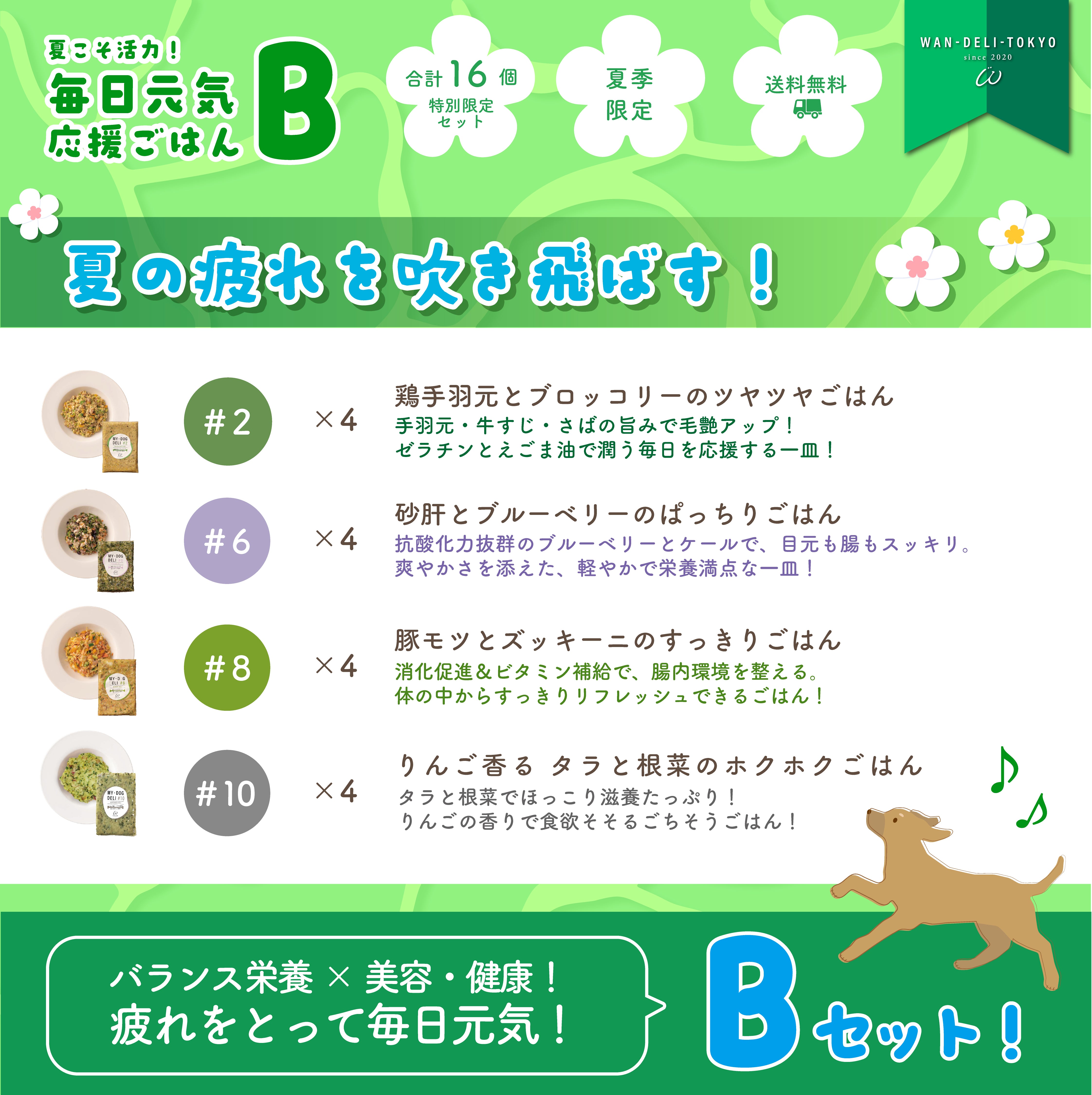 【特別限定】夏こそ活力！毎日元気応援ごはんセットB（送料無料）