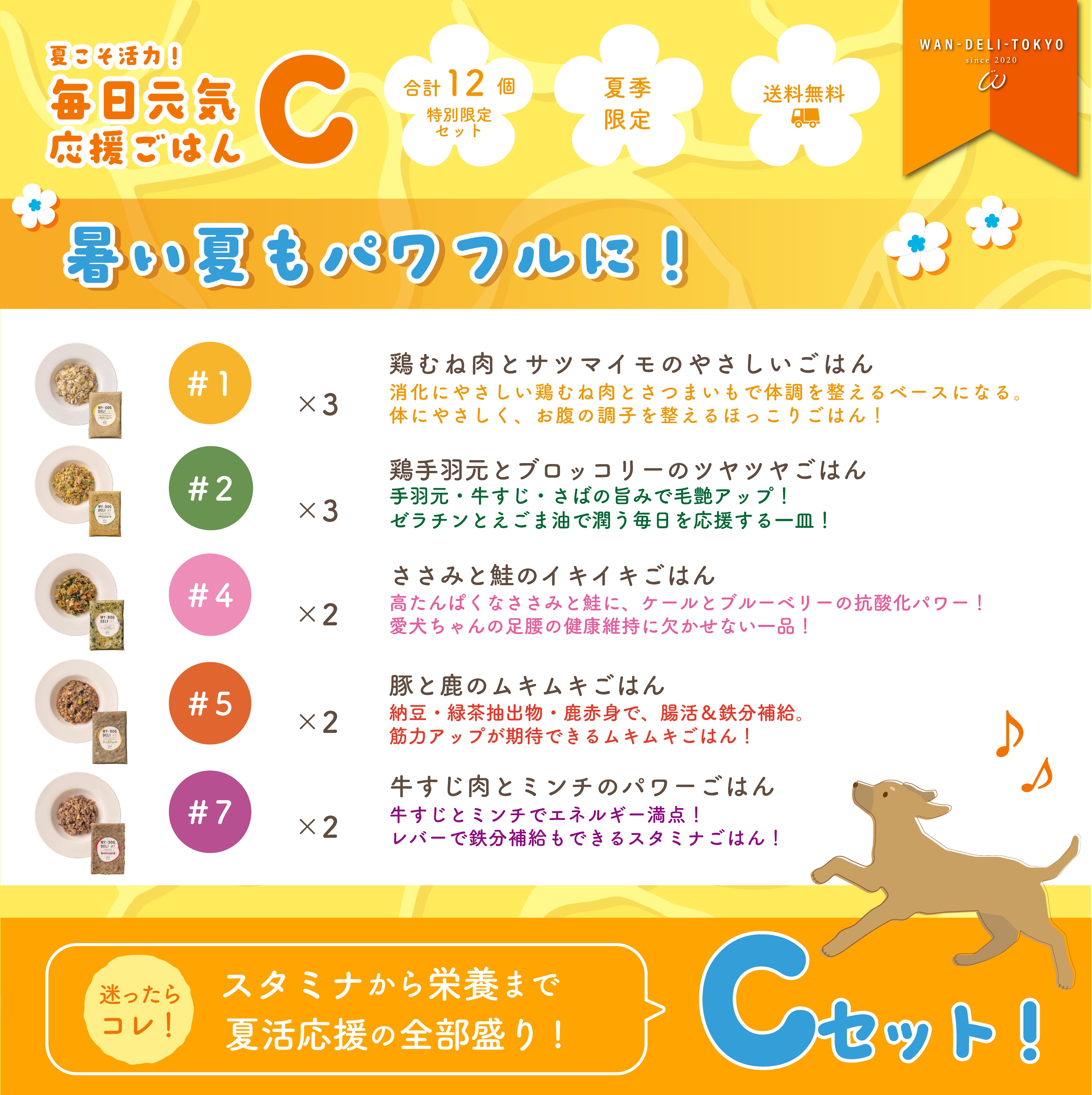 【特別限定】夏こそ活力！毎日元気応援ごはんセットC（送料無料）