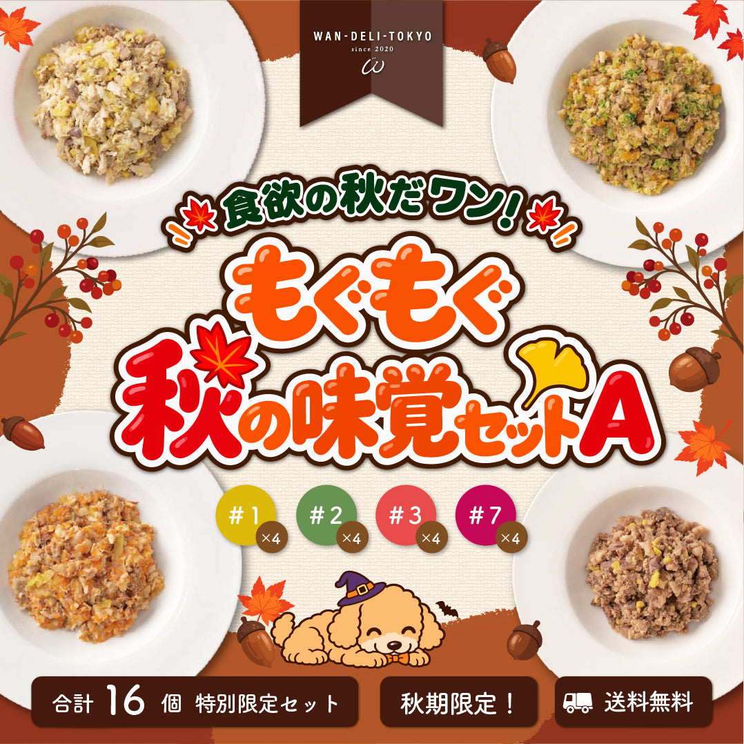【秋期限定】食欲の秋だワンッ♪もぐもぐ秋の味覚セットA（送料無料）