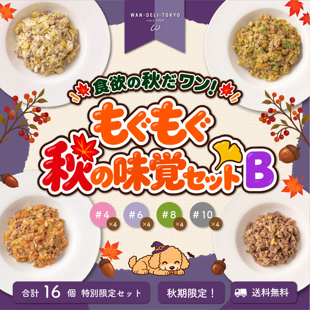 【秋期限定】食欲の秋だワンッ♪もぐもぐ秋の味覚セットB（送料無料）