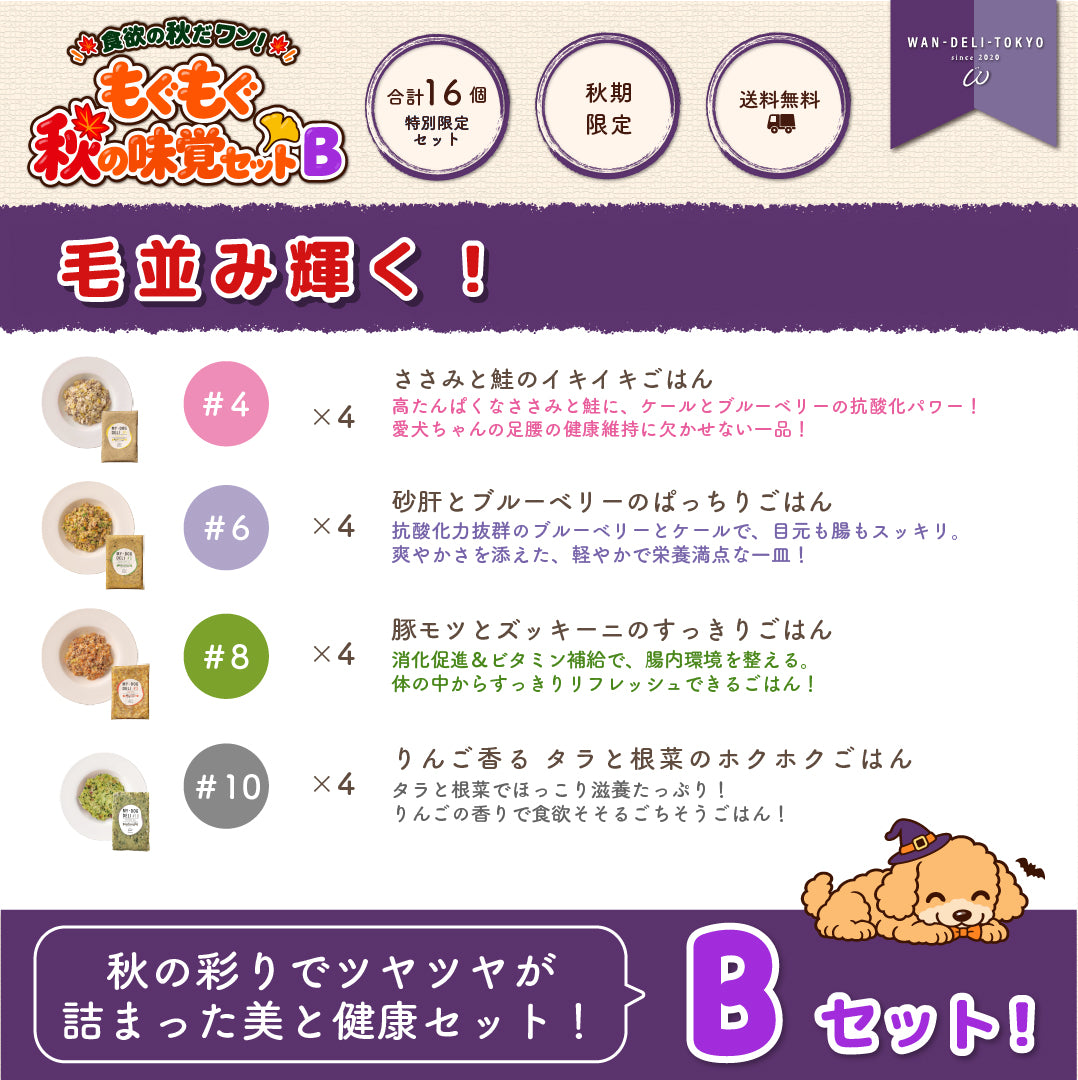 【秋期限定】食欲の秋だワンッ♪もぐもぐ秋の味覚セットB（送料無料）