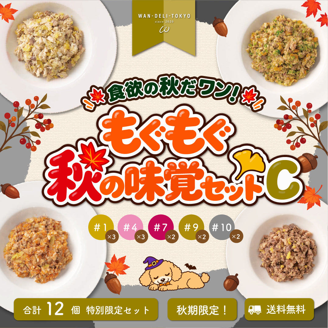 【秋期限定】食欲の秋だワンッ♪もぐもぐ秋の味覚セットC（送料無料）