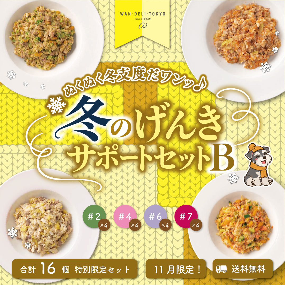 【11月限定】ぬくぬく冬支度だワンッ♪冬のげんきサポートセットB（送料無料）