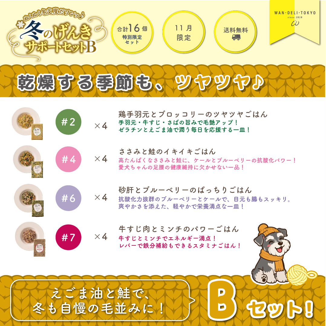 【11月限定】ぬくぬく冬支度だワンッ♪冬のげんきサポートセットB（送料無料）