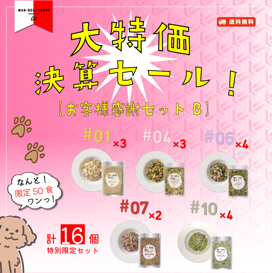 【限定50食！】大特価！決算セール！お客様感謝セットB（送料無料）