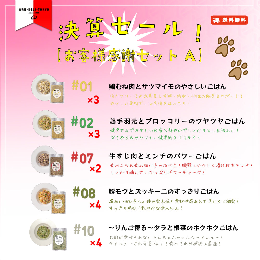 【限定50食！】大特価！決算セール！お客様感謝セットA（送料無料）