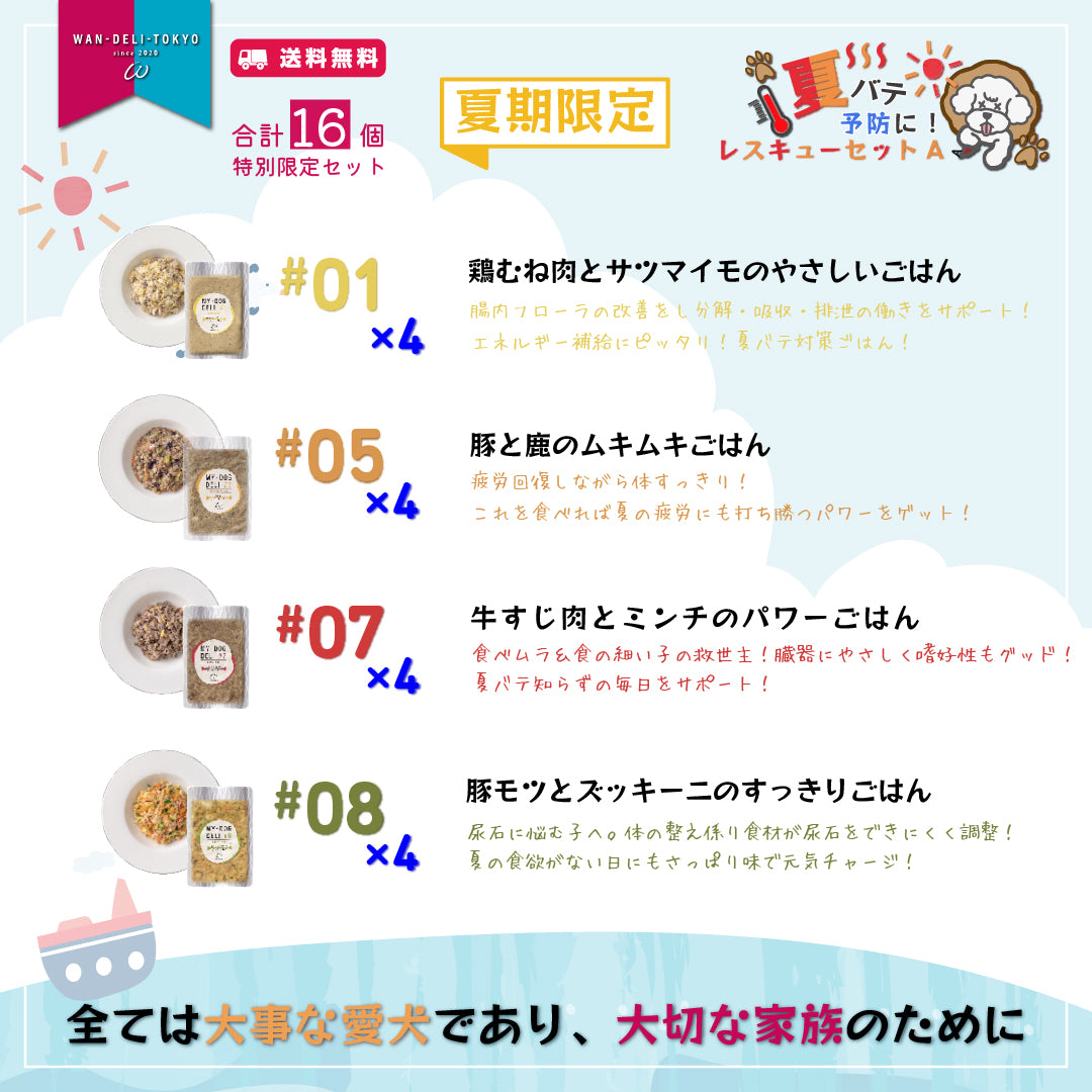 【夏期限定】夏バテ予防に！スタミナレスキューセットA（送料無料）