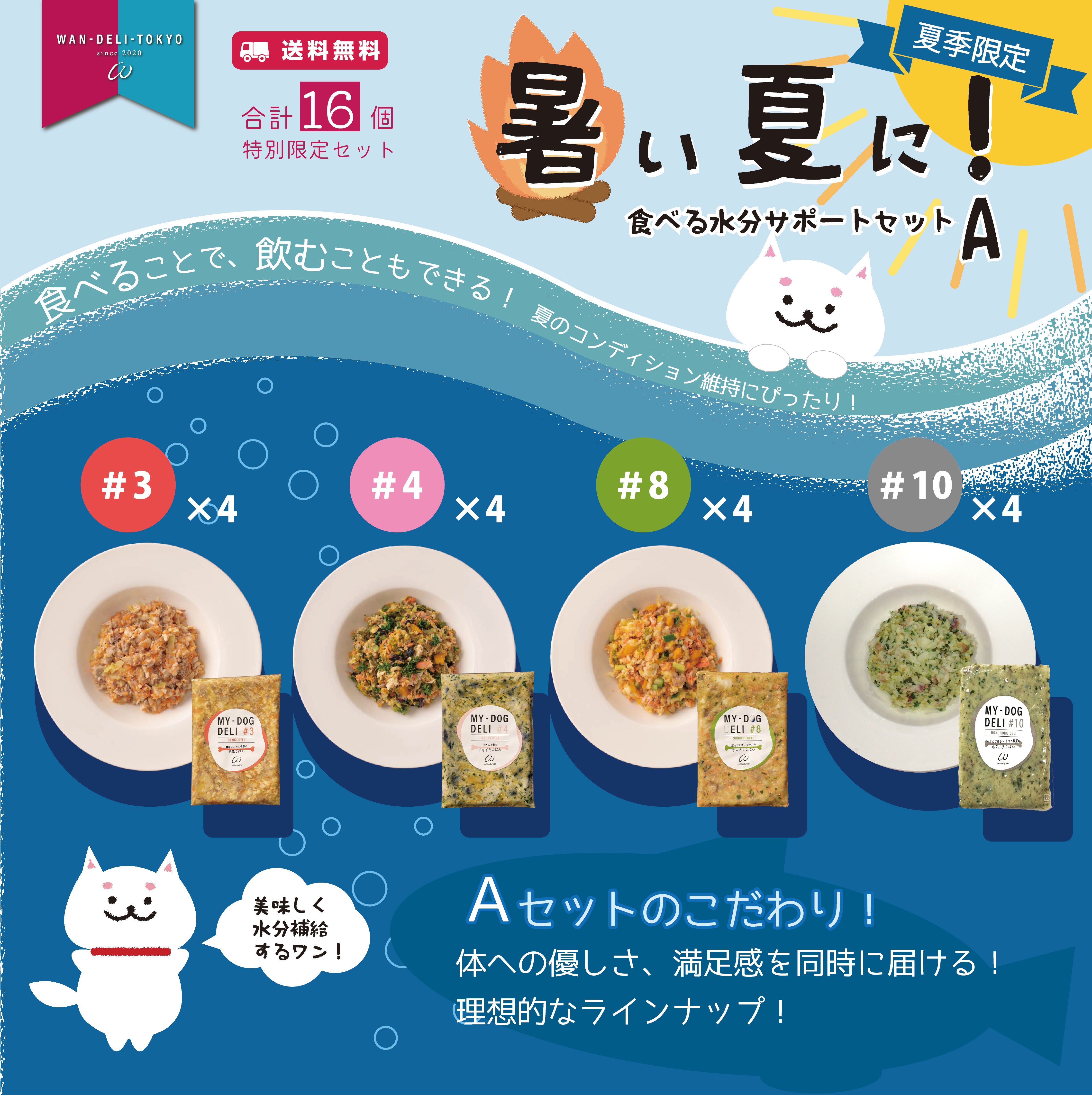 【夏期限定】暑い夏に！食べる水分サポートセットA（送料無料）