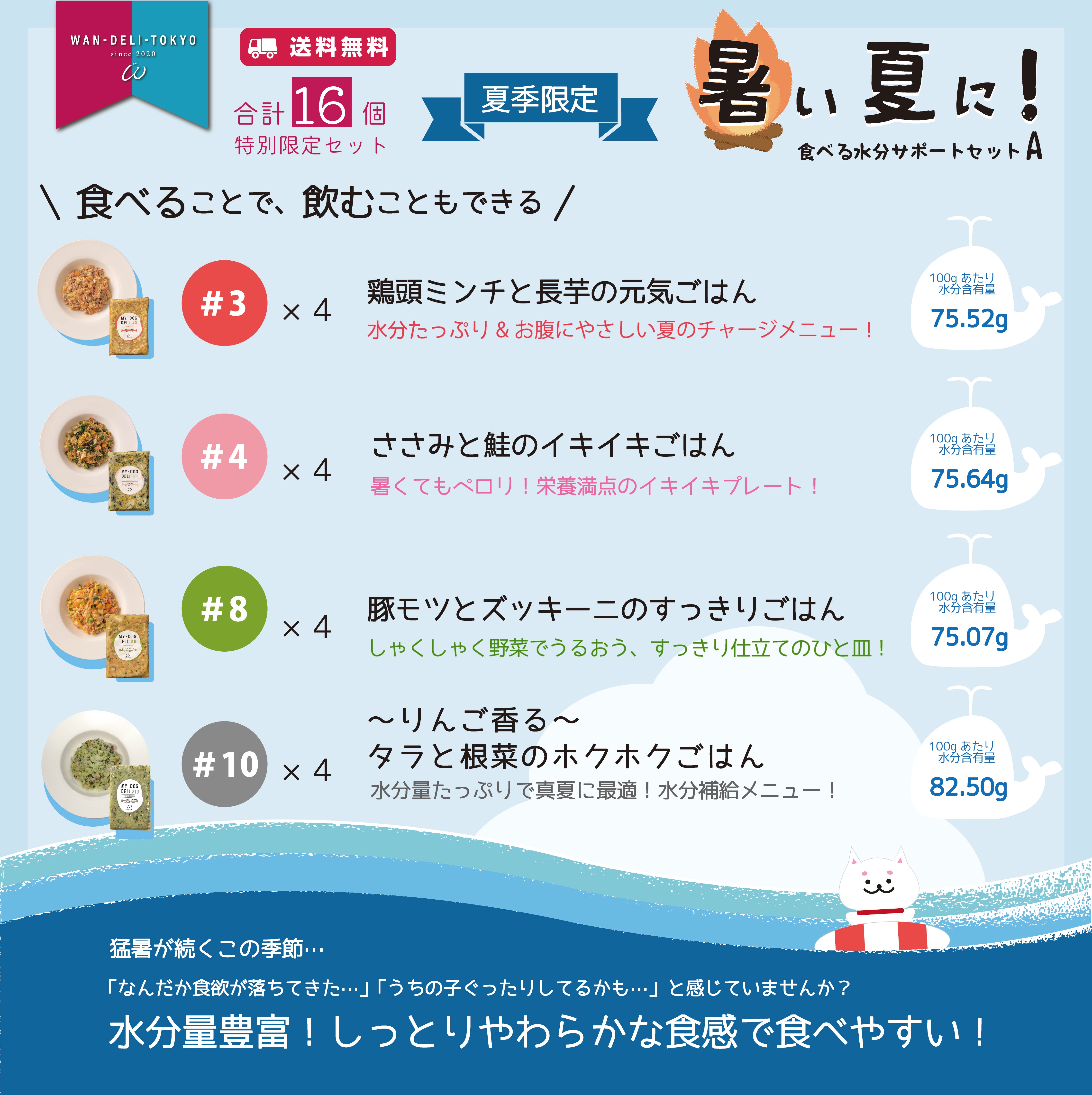 【夏期限定】暑い夏に！食べる水分サポートセットA（送料無料）