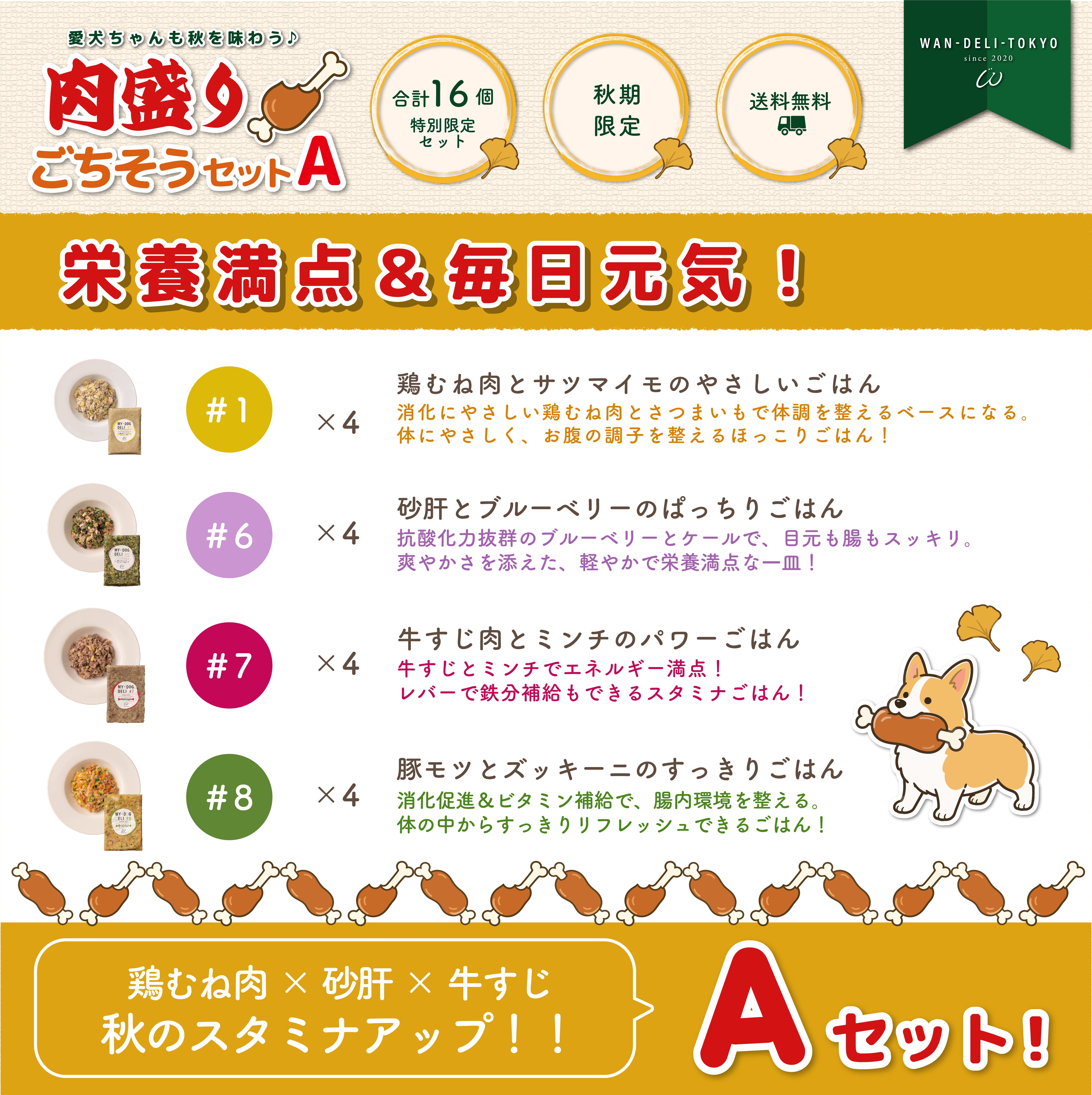 【秋期限定】愛犬ちゃんも秋を味わう♪肉盛りごちそうセットA（送料無料）